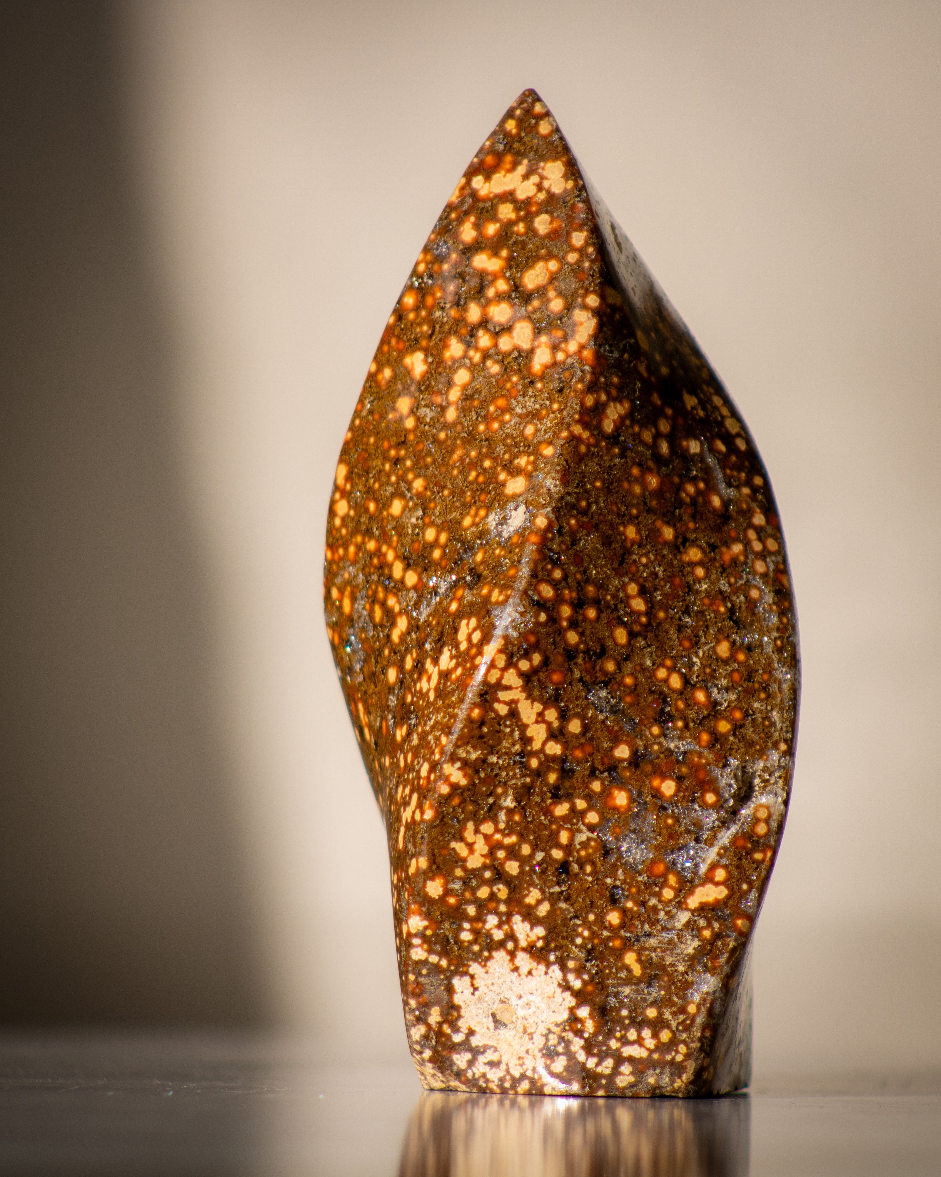 a brown twisting polished stone with beige splotches all over it