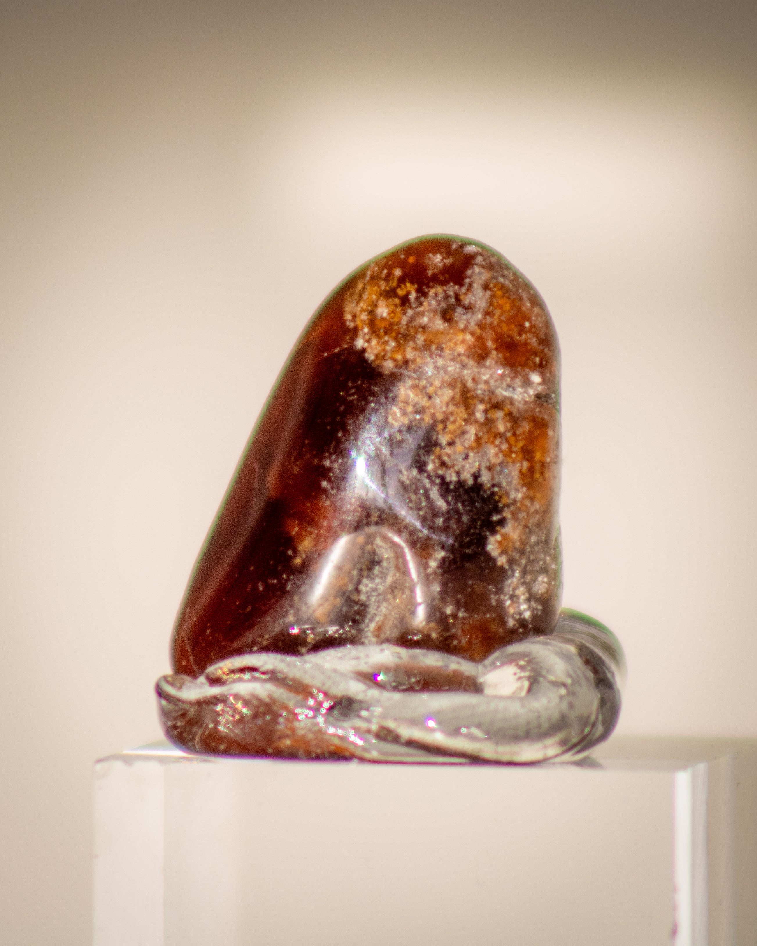 a small brown stone displayed on a clear stand with a beige grey background