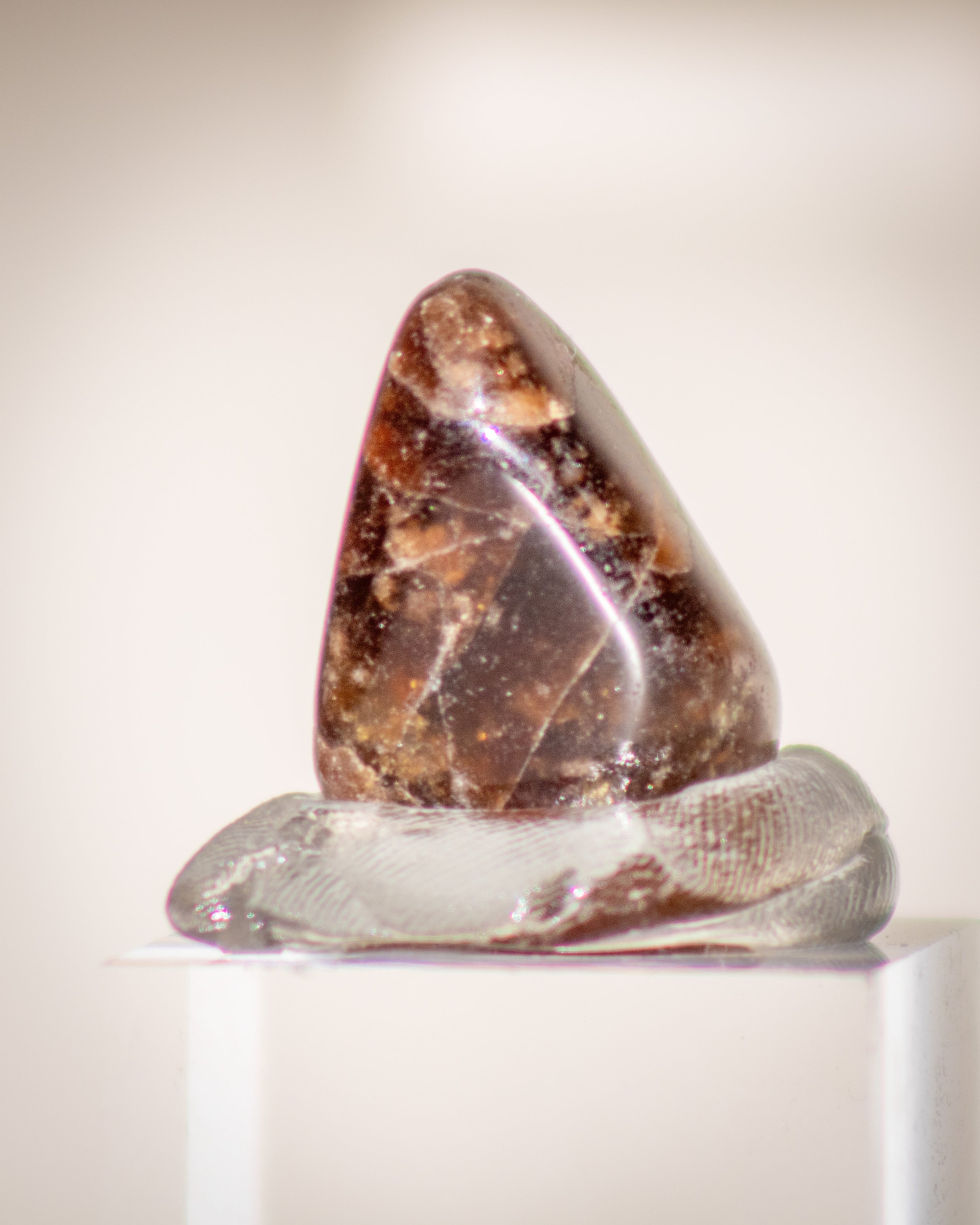 a small brown stone displayed on a clear stand with a beige grey background