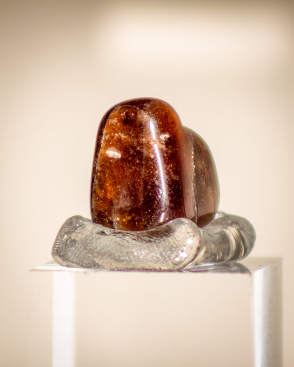 a small brown stone displayed on a clear stand with a beige grey background