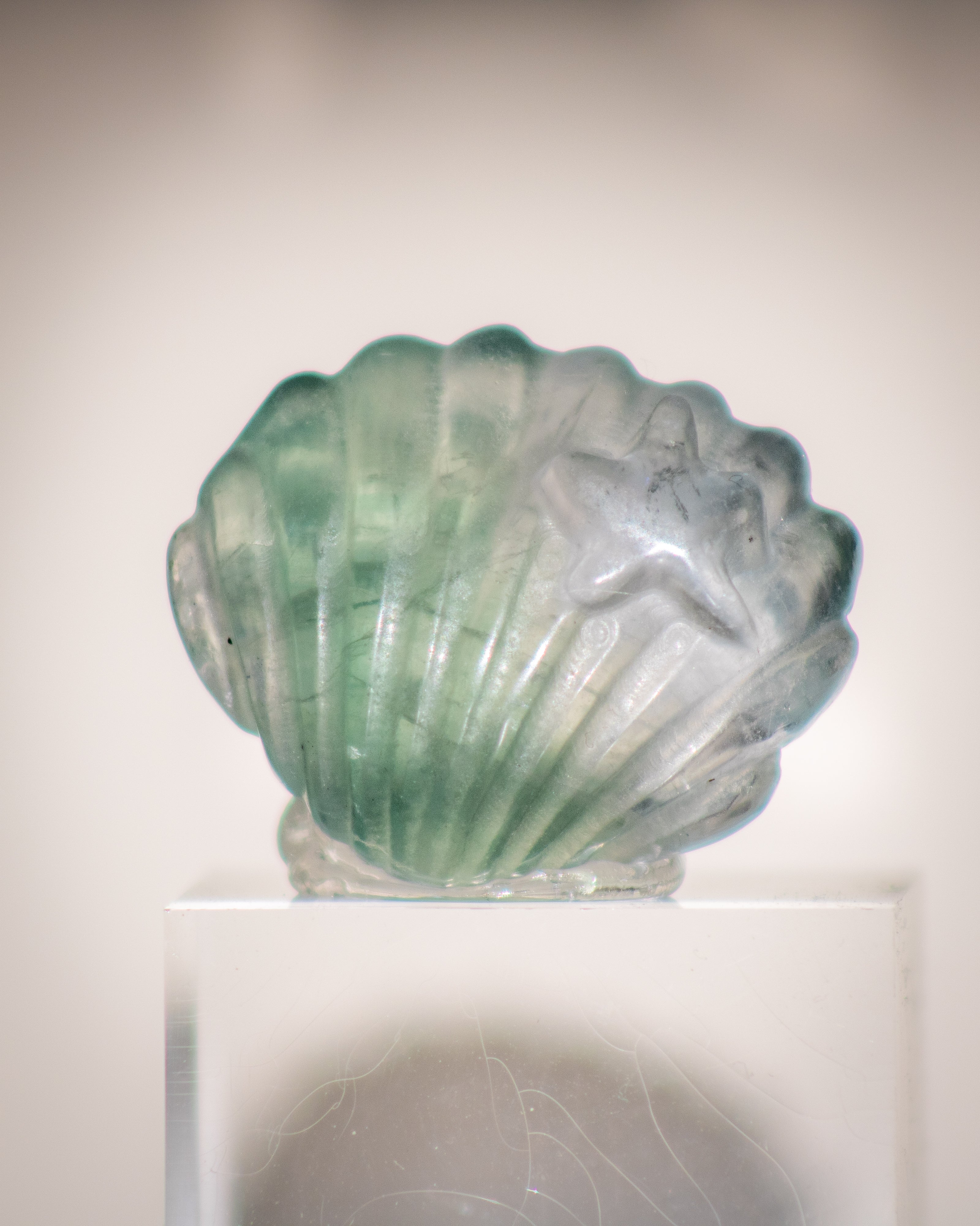 a green and clear scallop shell fluorite carving