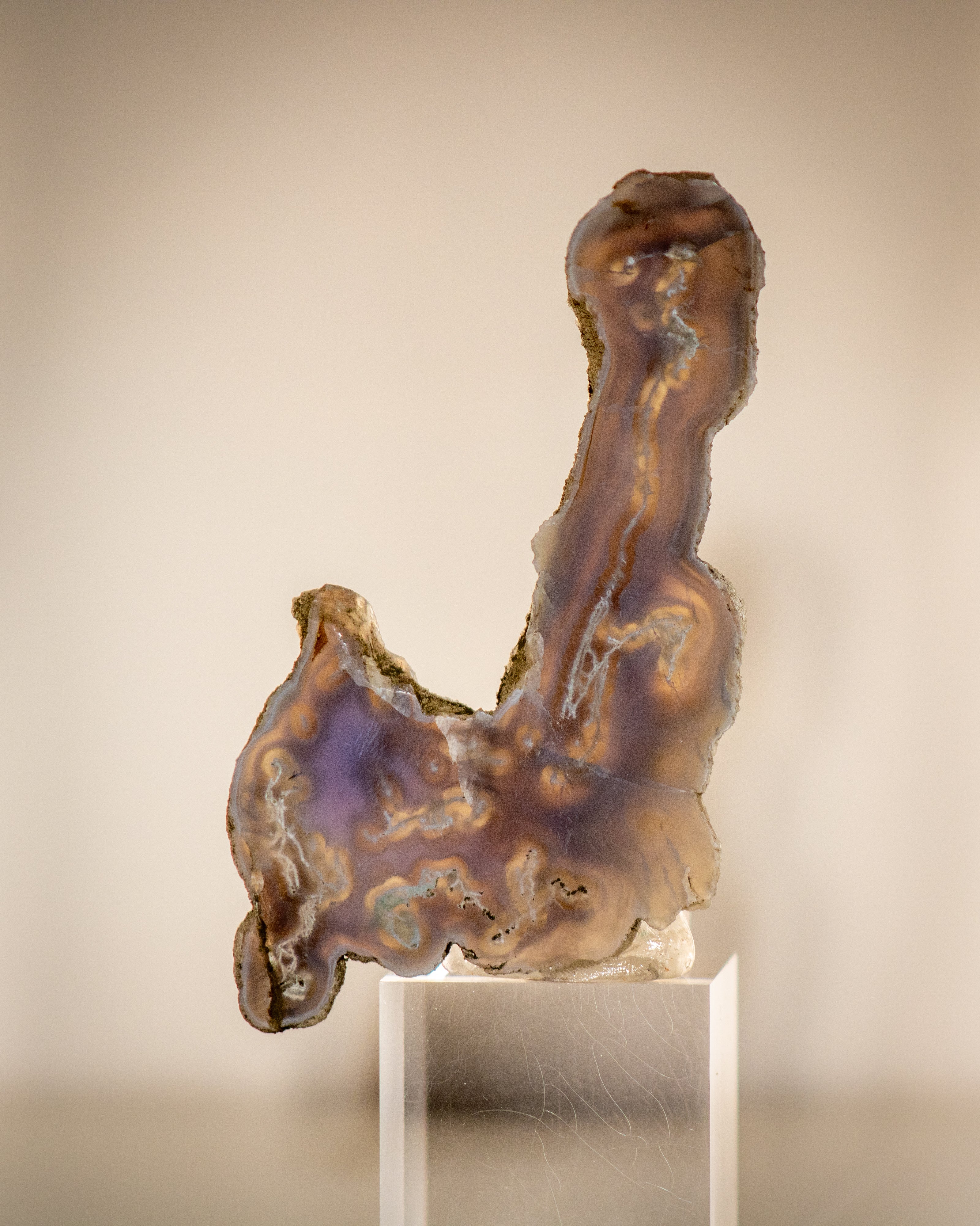 a grey blue crystal polished slice on a neutral bakground