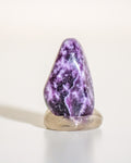 a dark purple stone with white flecks on a plain white background