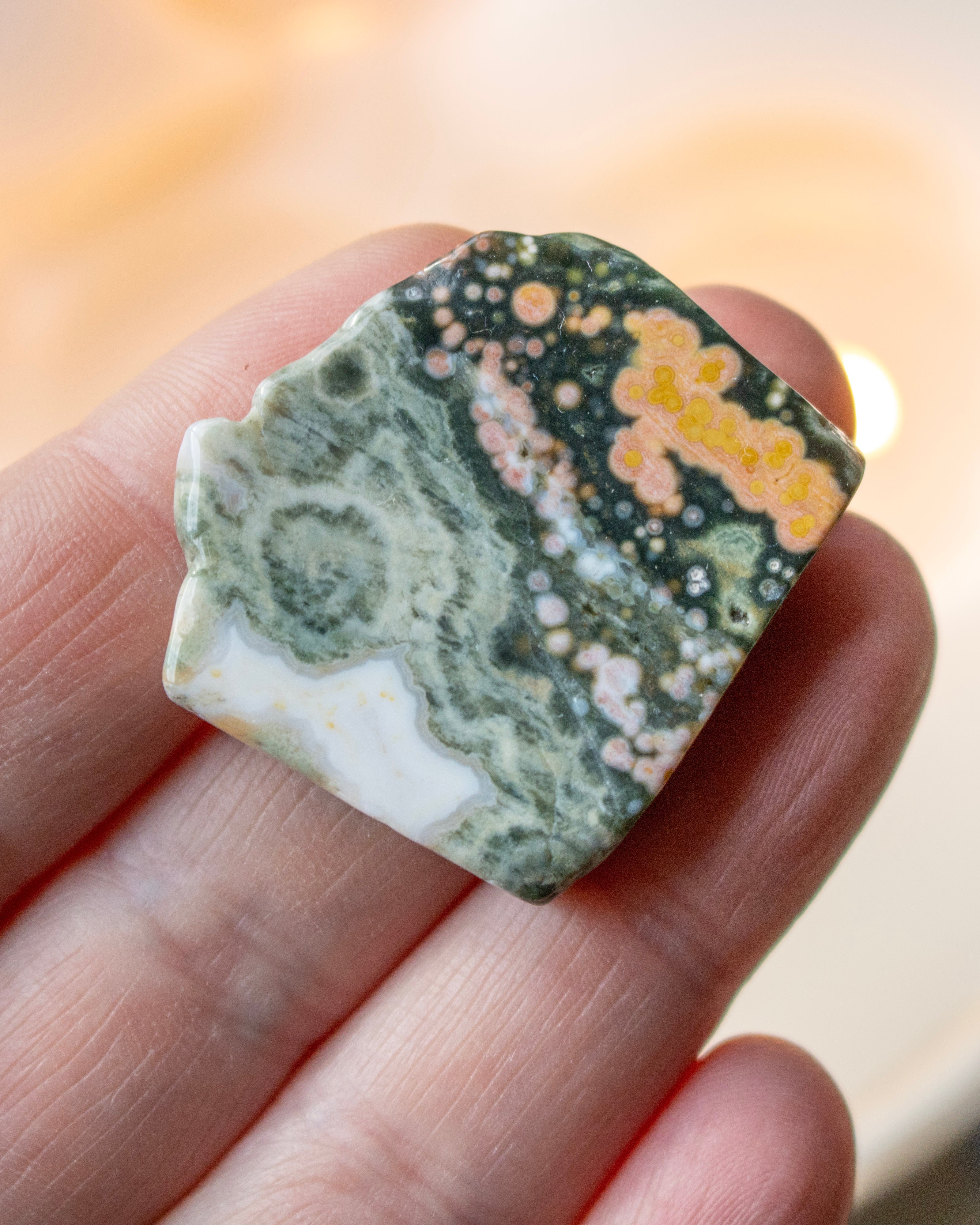 a sea jasper stone in the hand with a blurred background