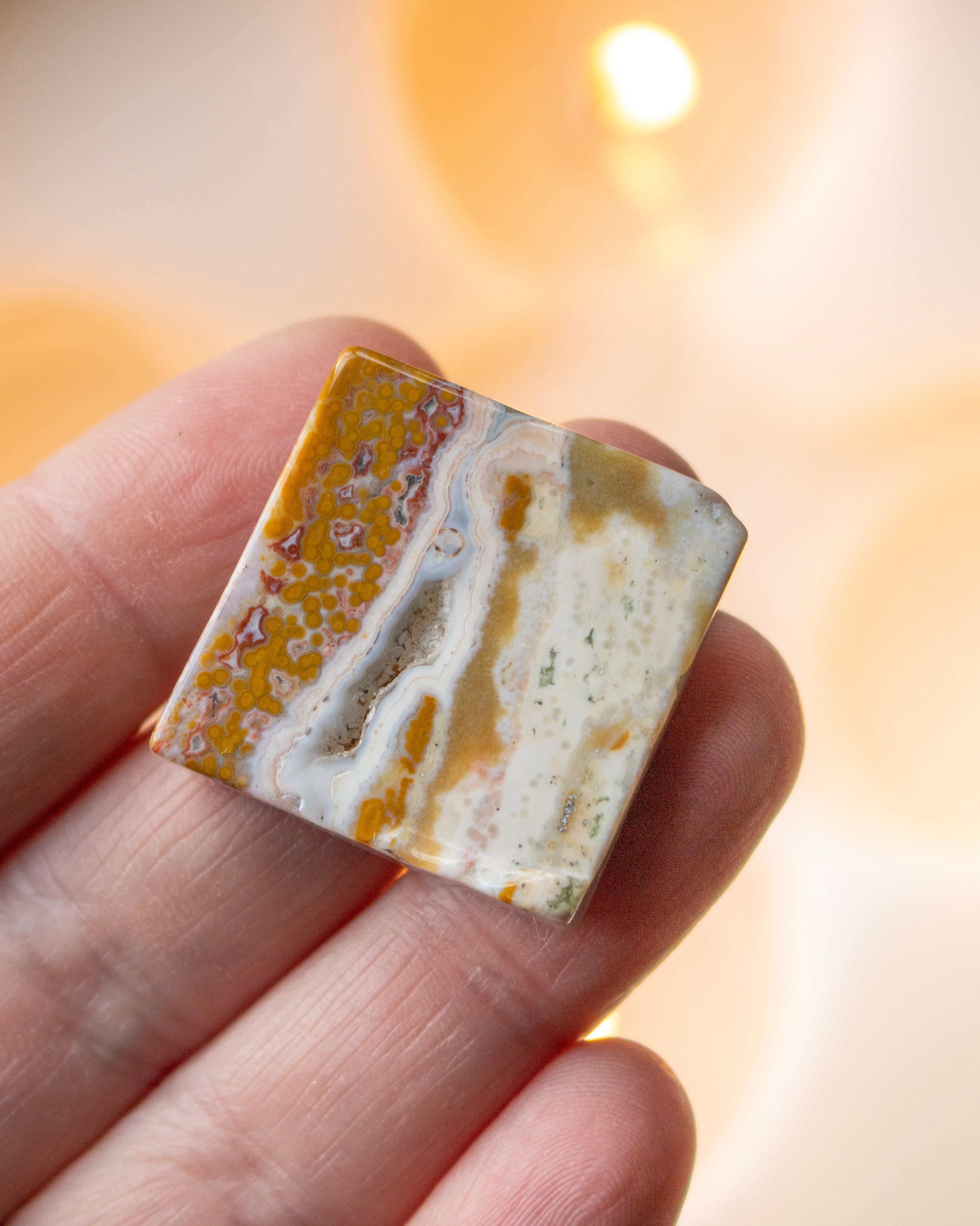 a sea jasper stone in the hand with a blurred background