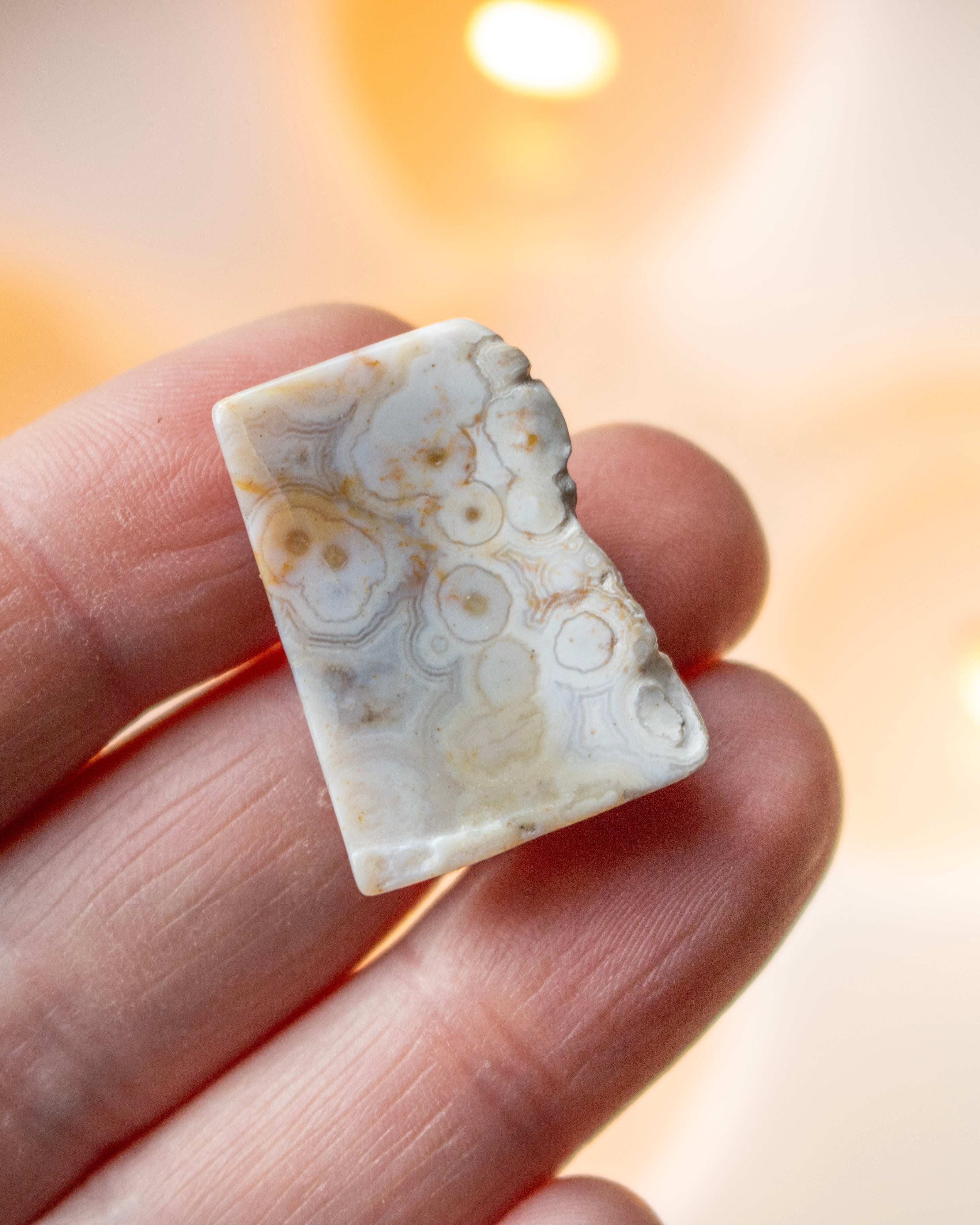 a sea jasper stone in the hand with a blurred background