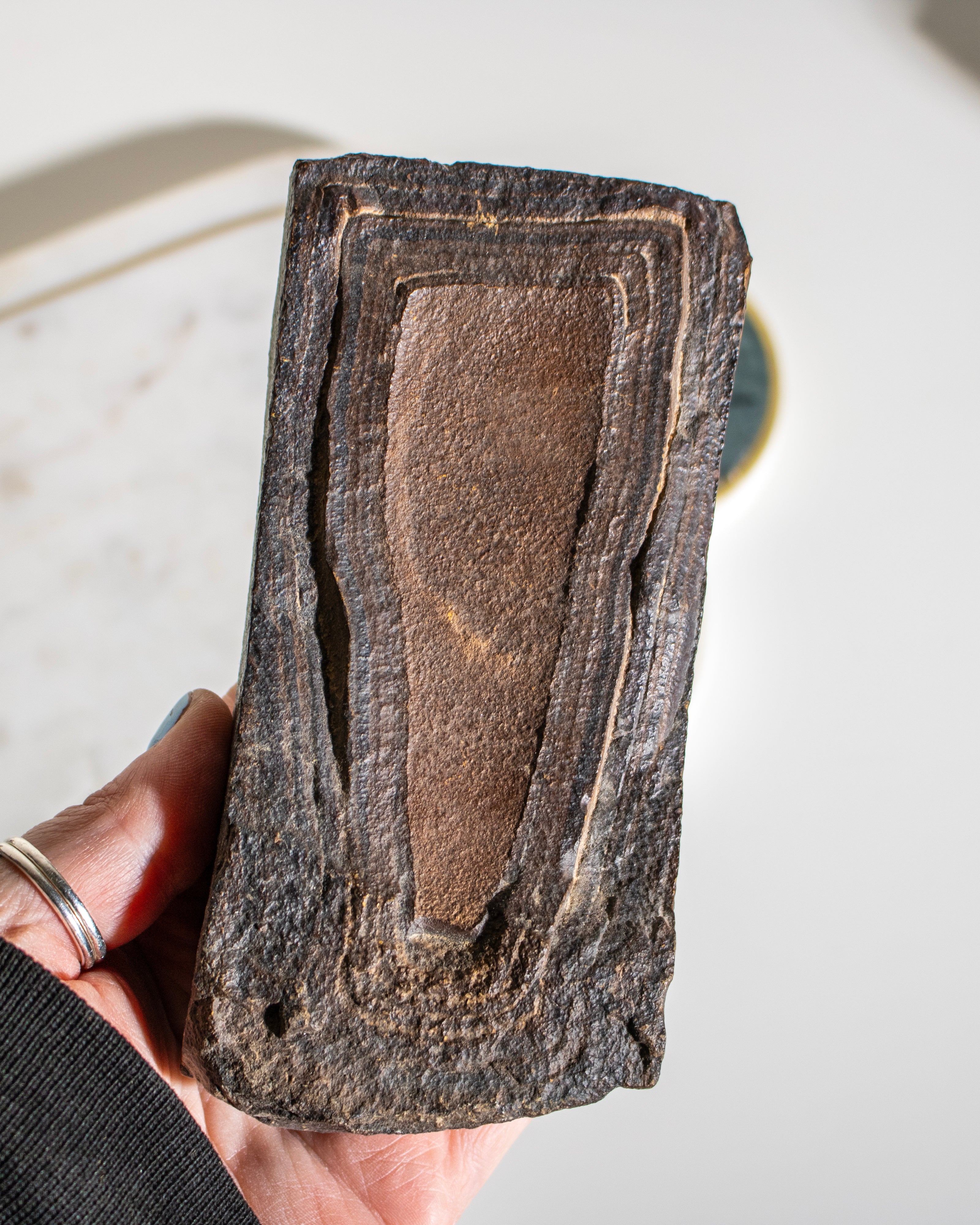 a large brown stone with concentric patterns being held in the hand