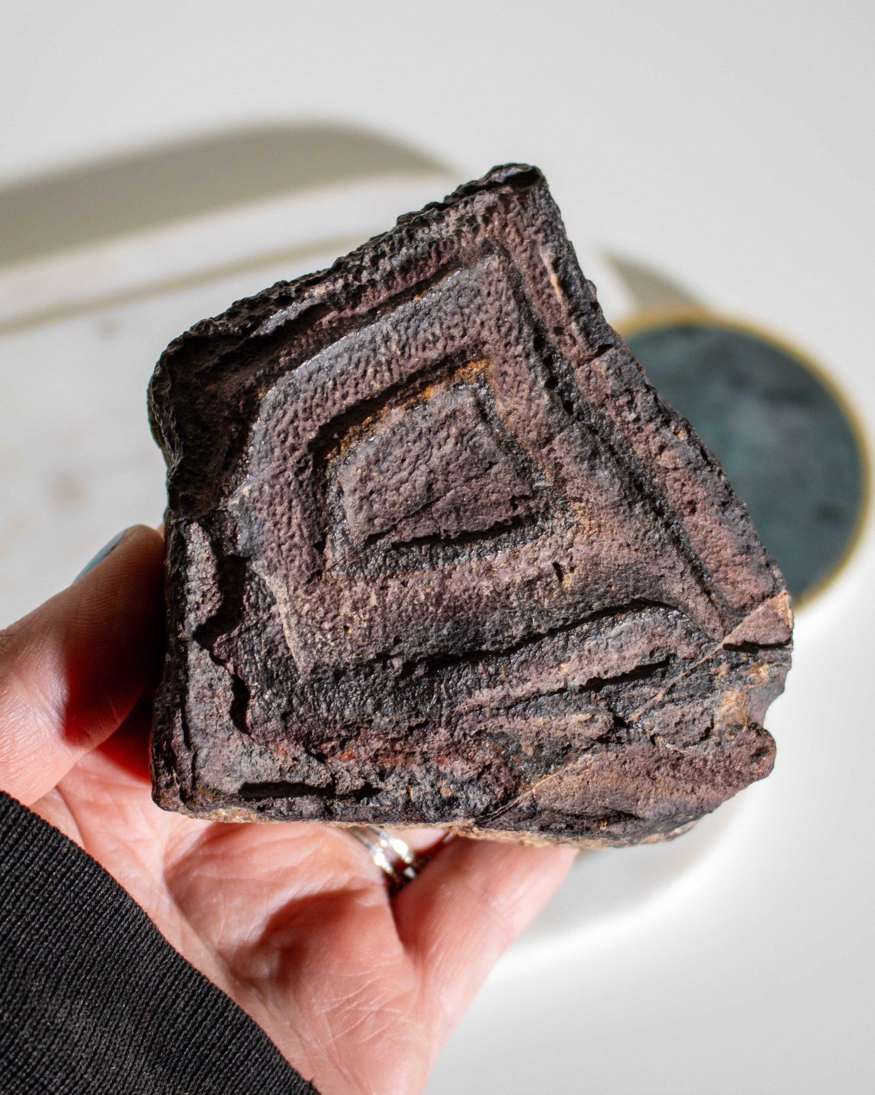 a large brown stone with concentric patterns being held in the hand