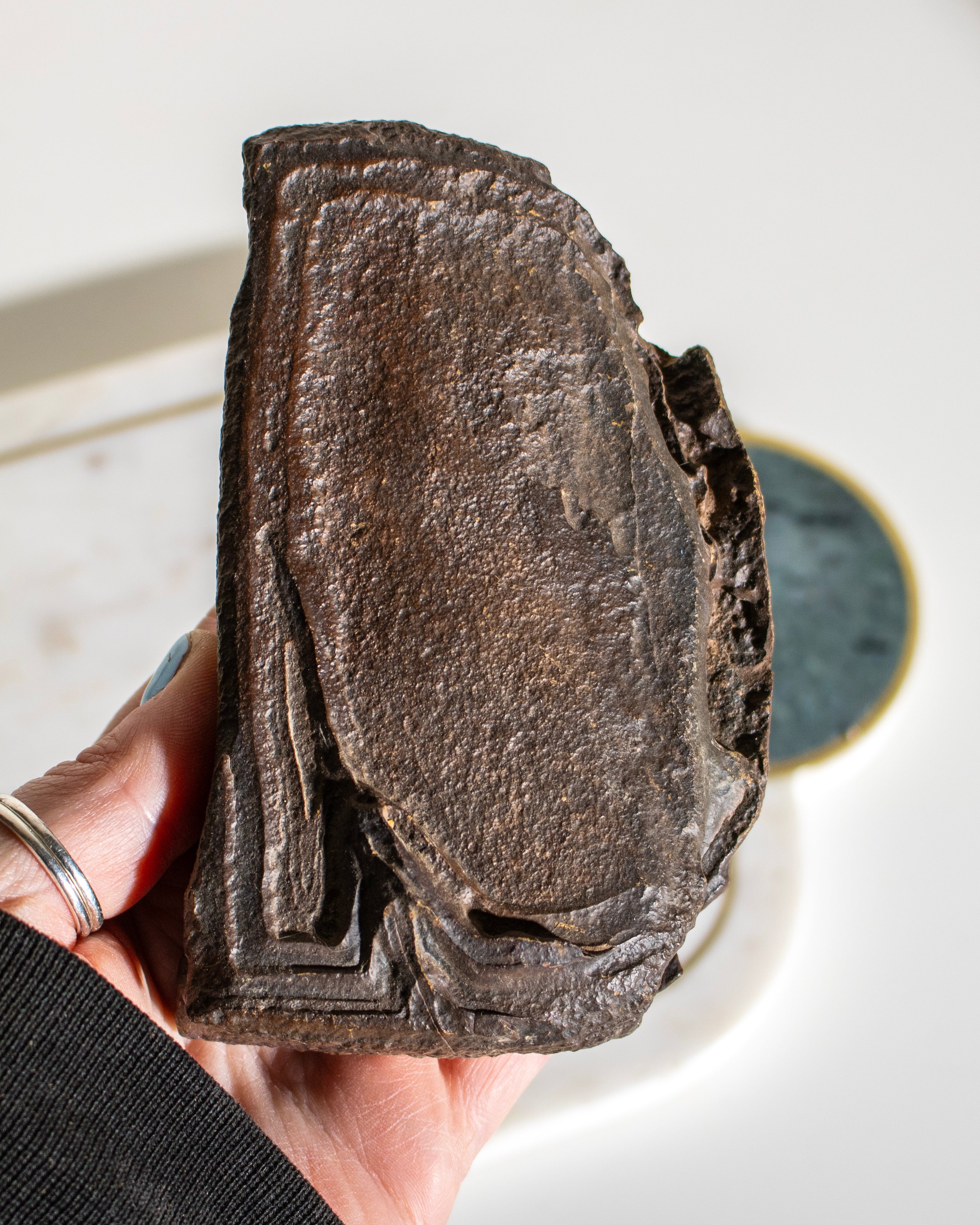 a large brown stone with concentric patterns being held in the hand
