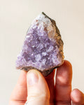 Hand holding a small amethyst crystal against a neutral background