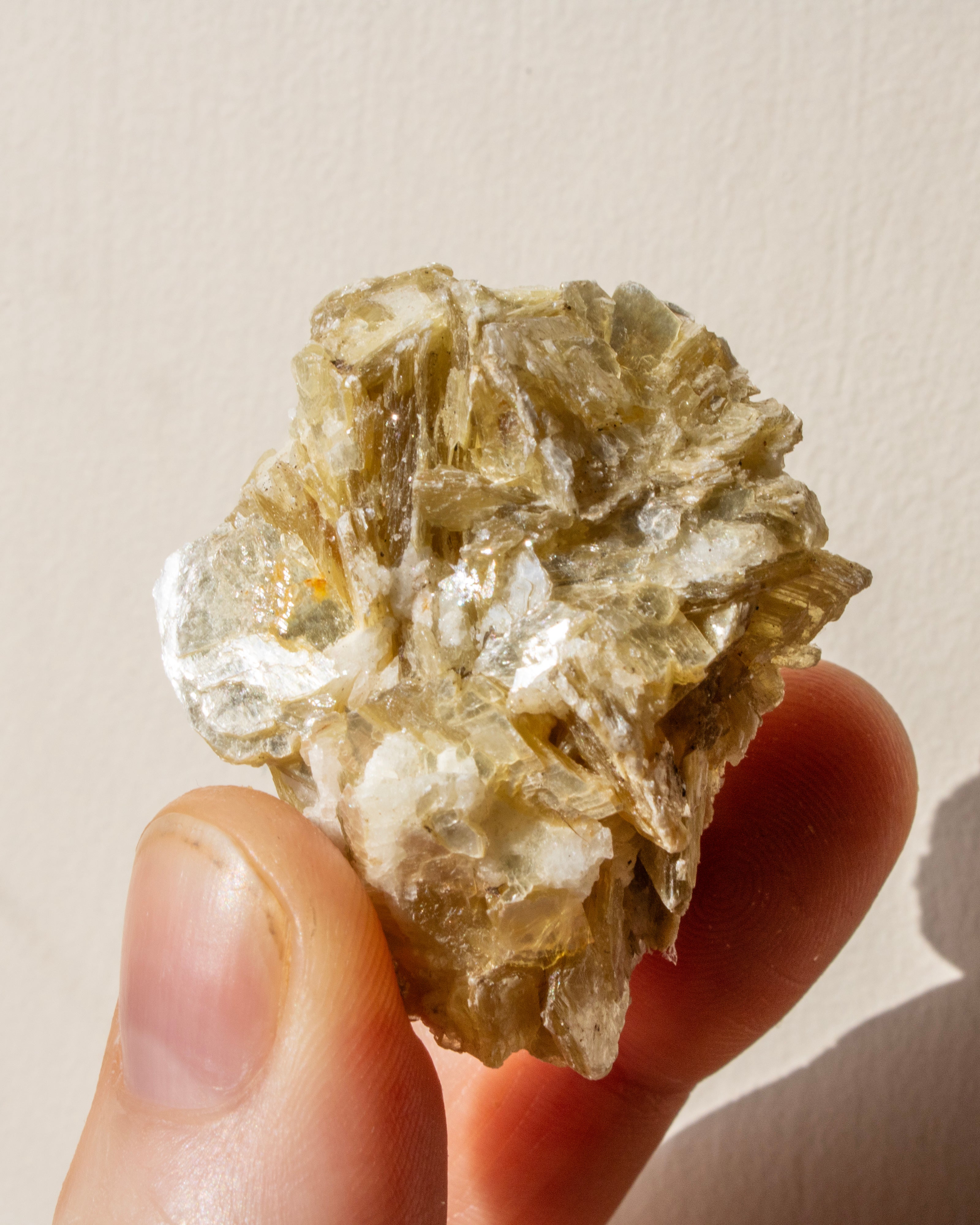 Hand holding a small crystal or mineral specimen against a plain background