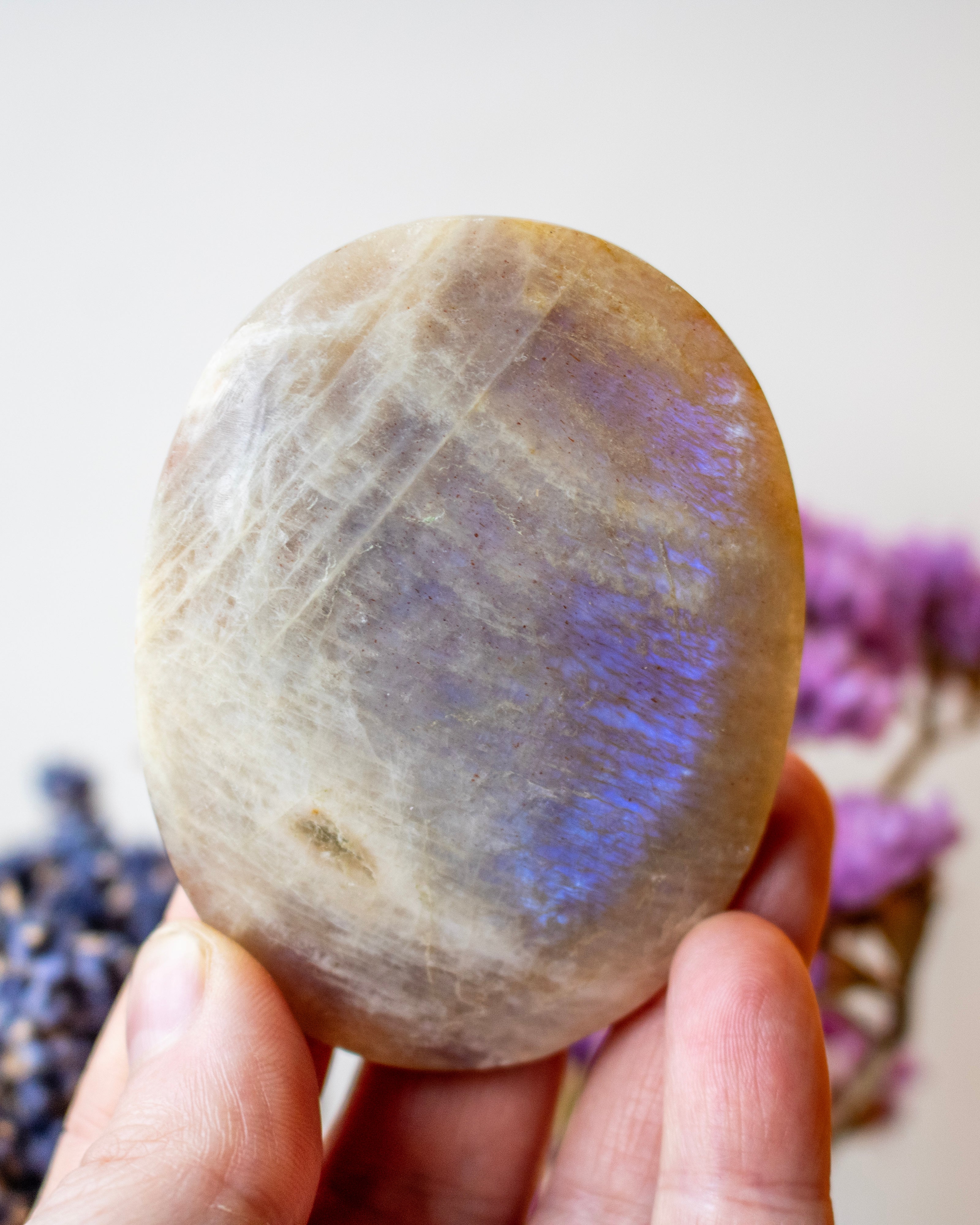 Hand holding a rainbow moonstone crystal with a blurred background of flowers.
