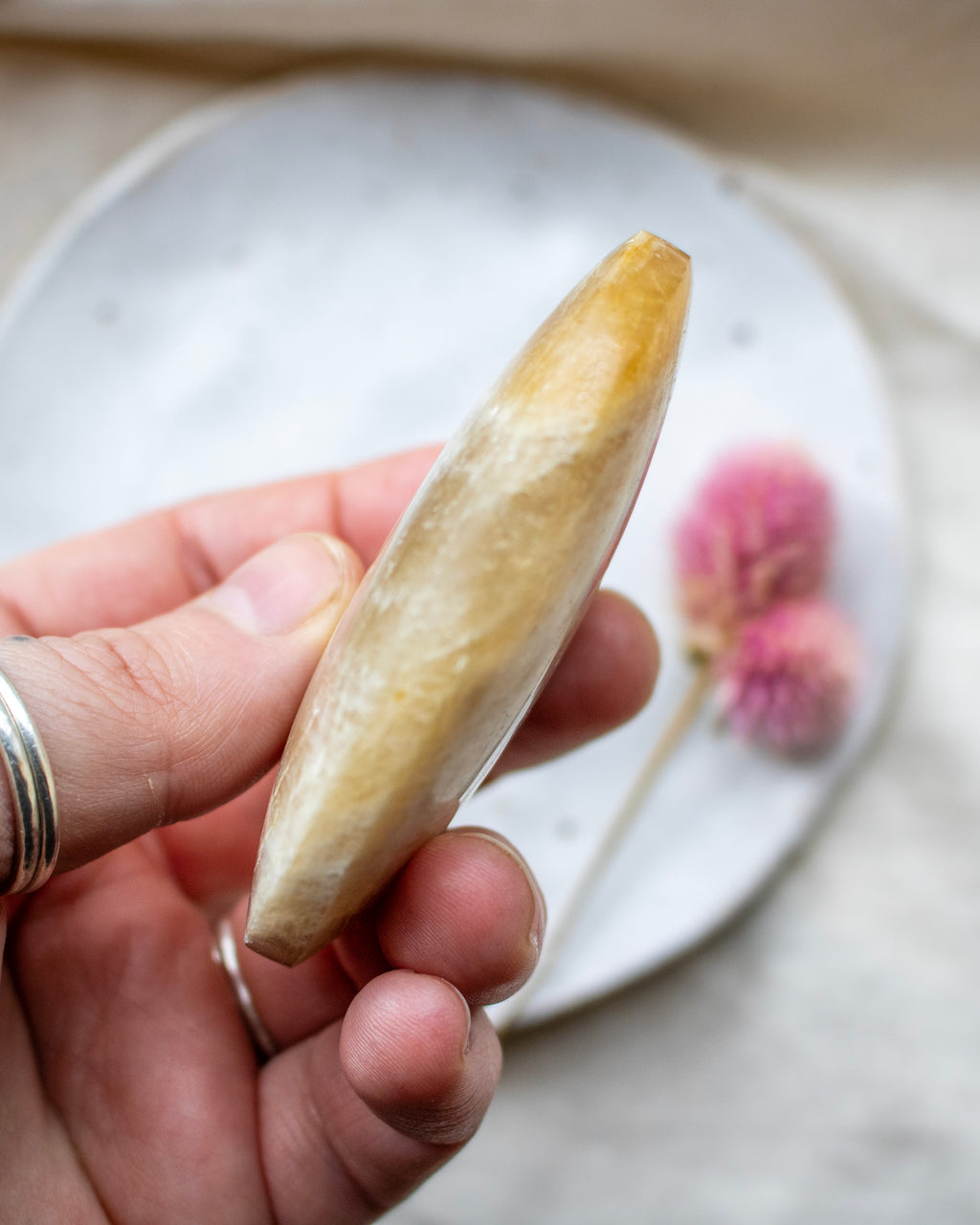 Hand holding a large stone with a blurred background