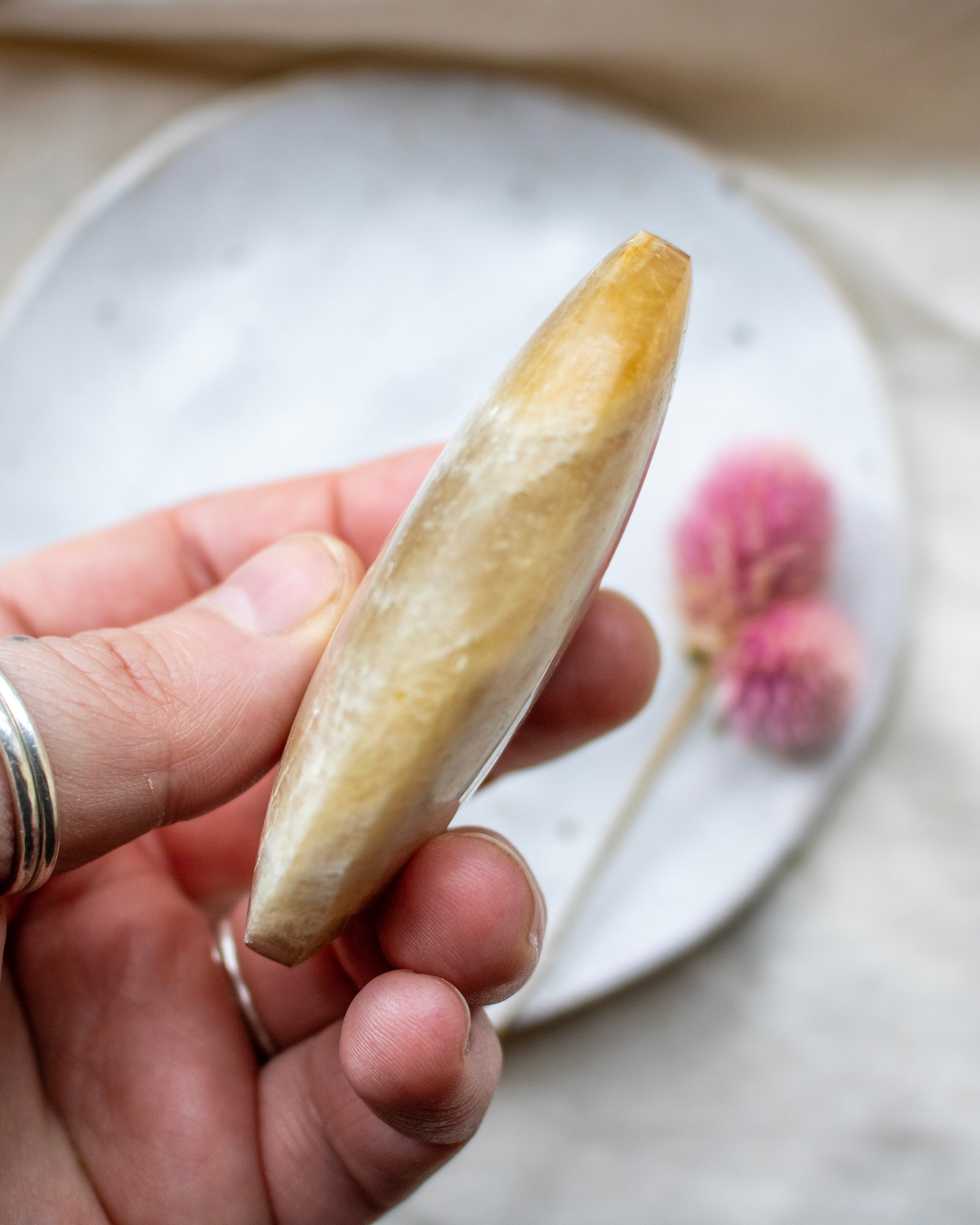 Hand holding a large stone with a blurred background