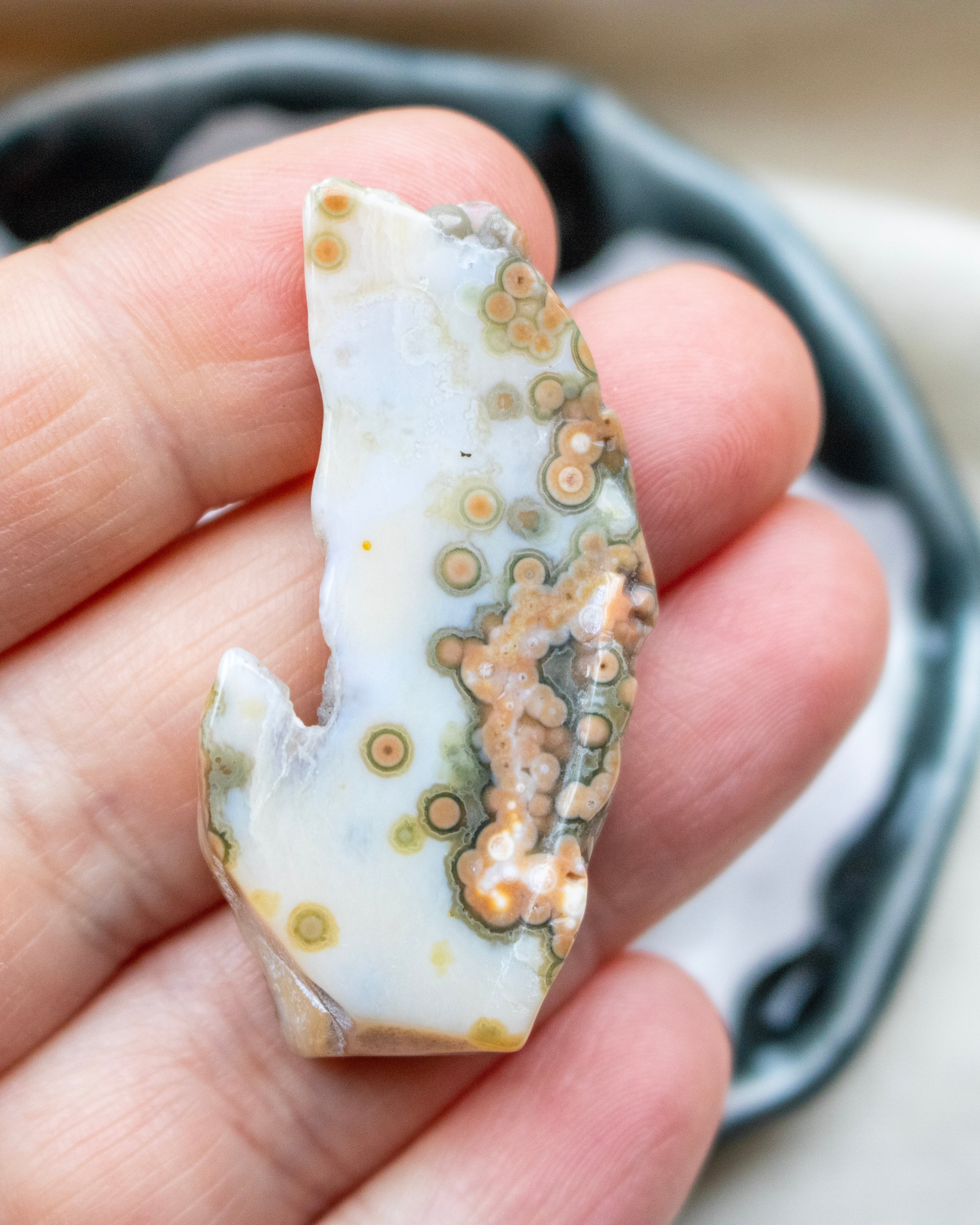 Hand holding a piece of patterned stone