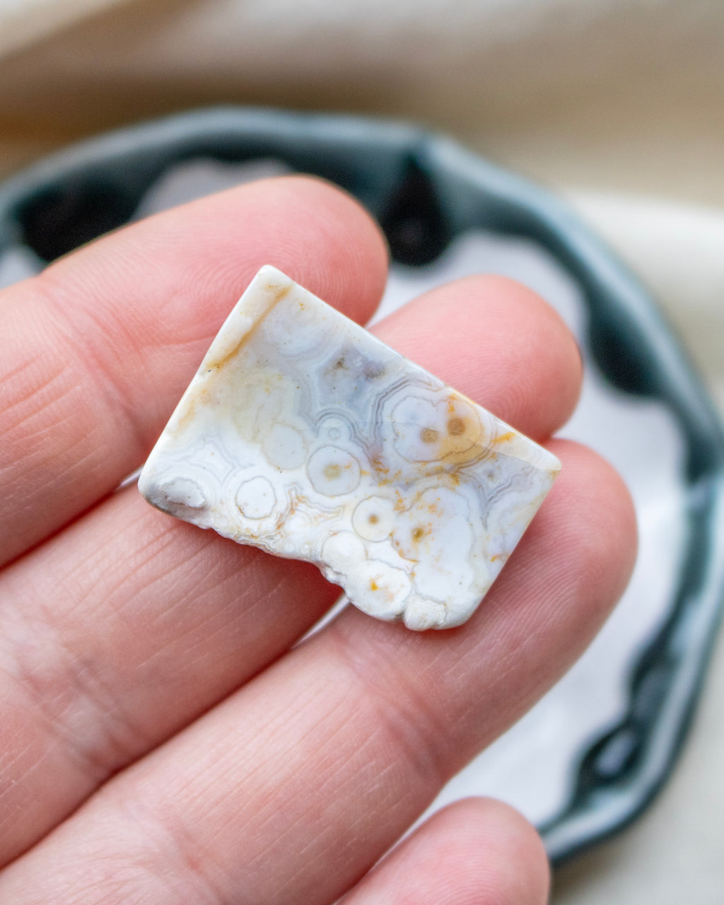 Hand holding a piece of white stone with brown patterns against a blurred background