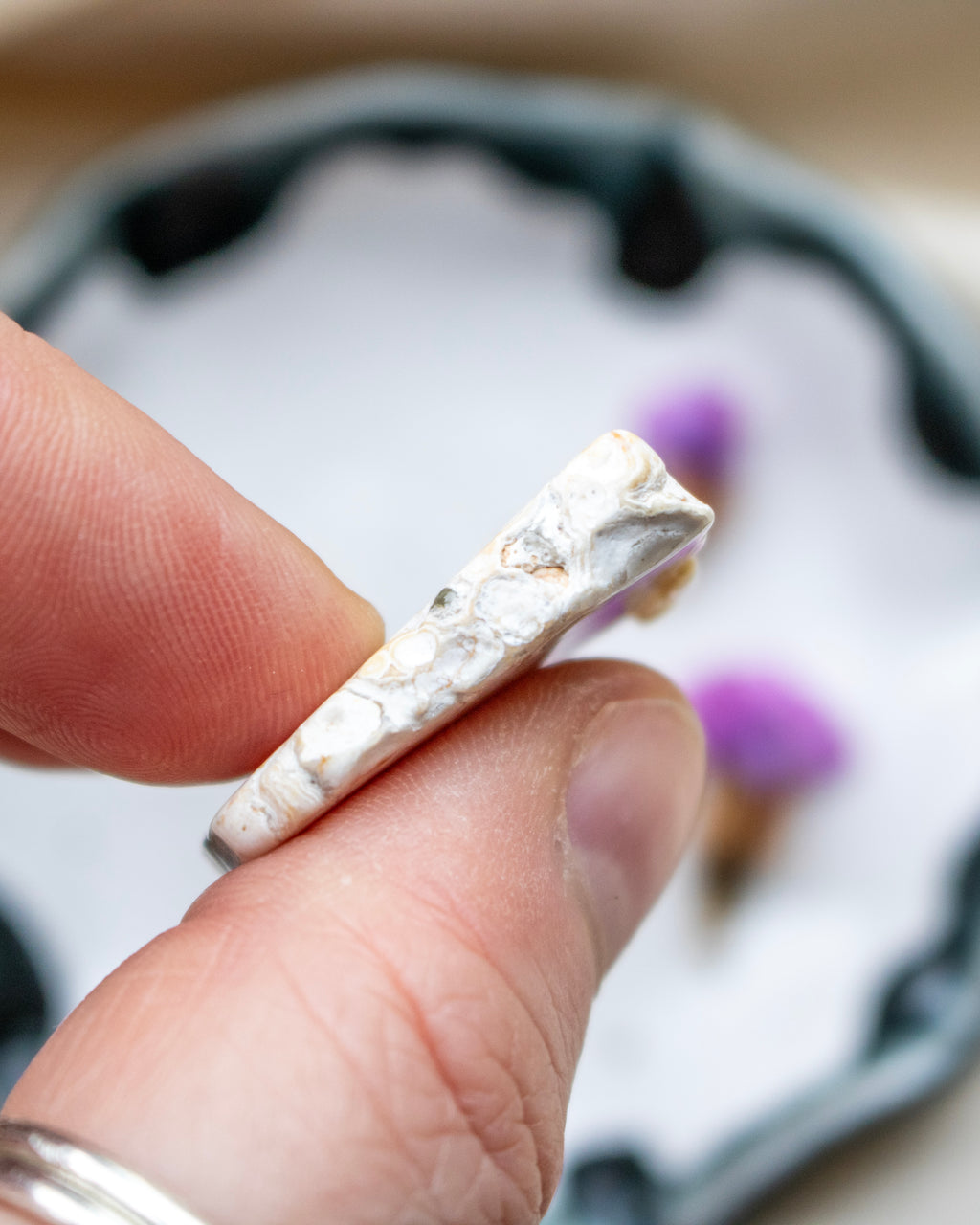 Hand holding a small white stone with a blurred background