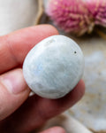 Hand holding a white marble-like stone with a blurred background