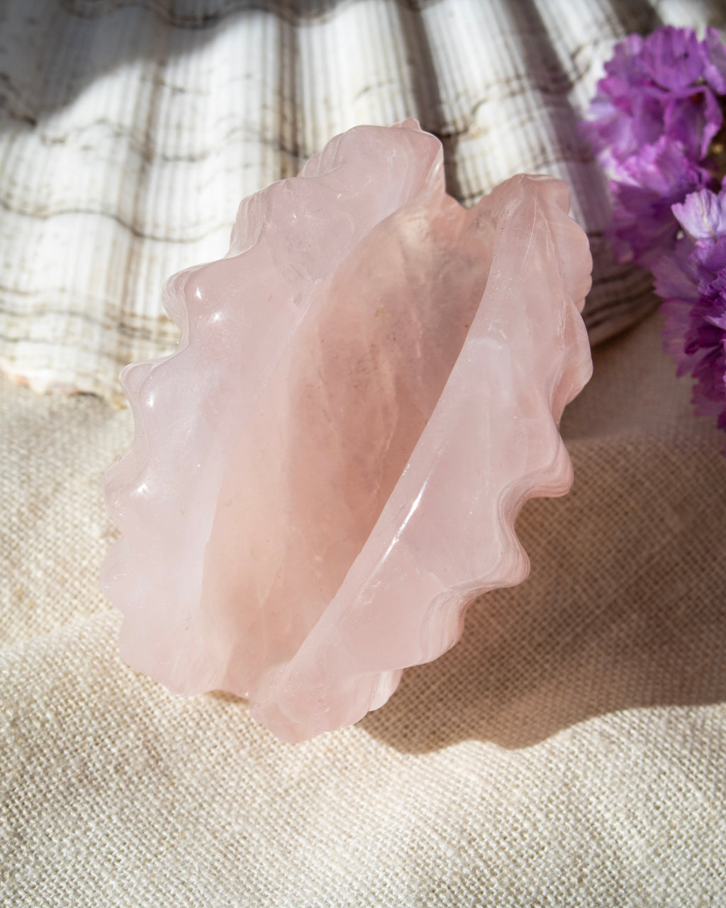 Pink shell on a textured surface with a purple flower in the background