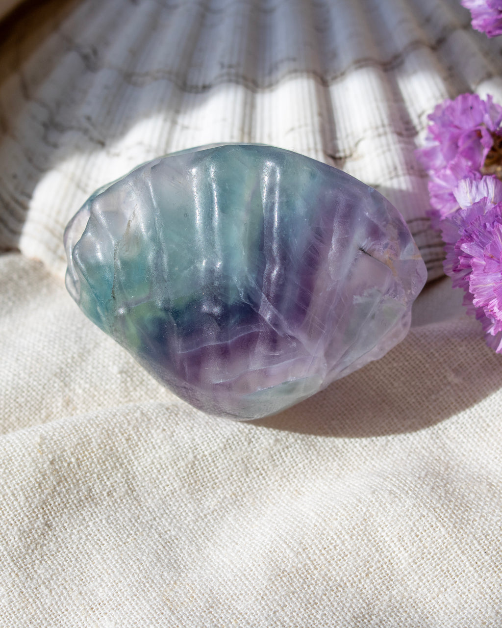 Translucent shell with purple and green hues on a textured surface with pink flowers.
