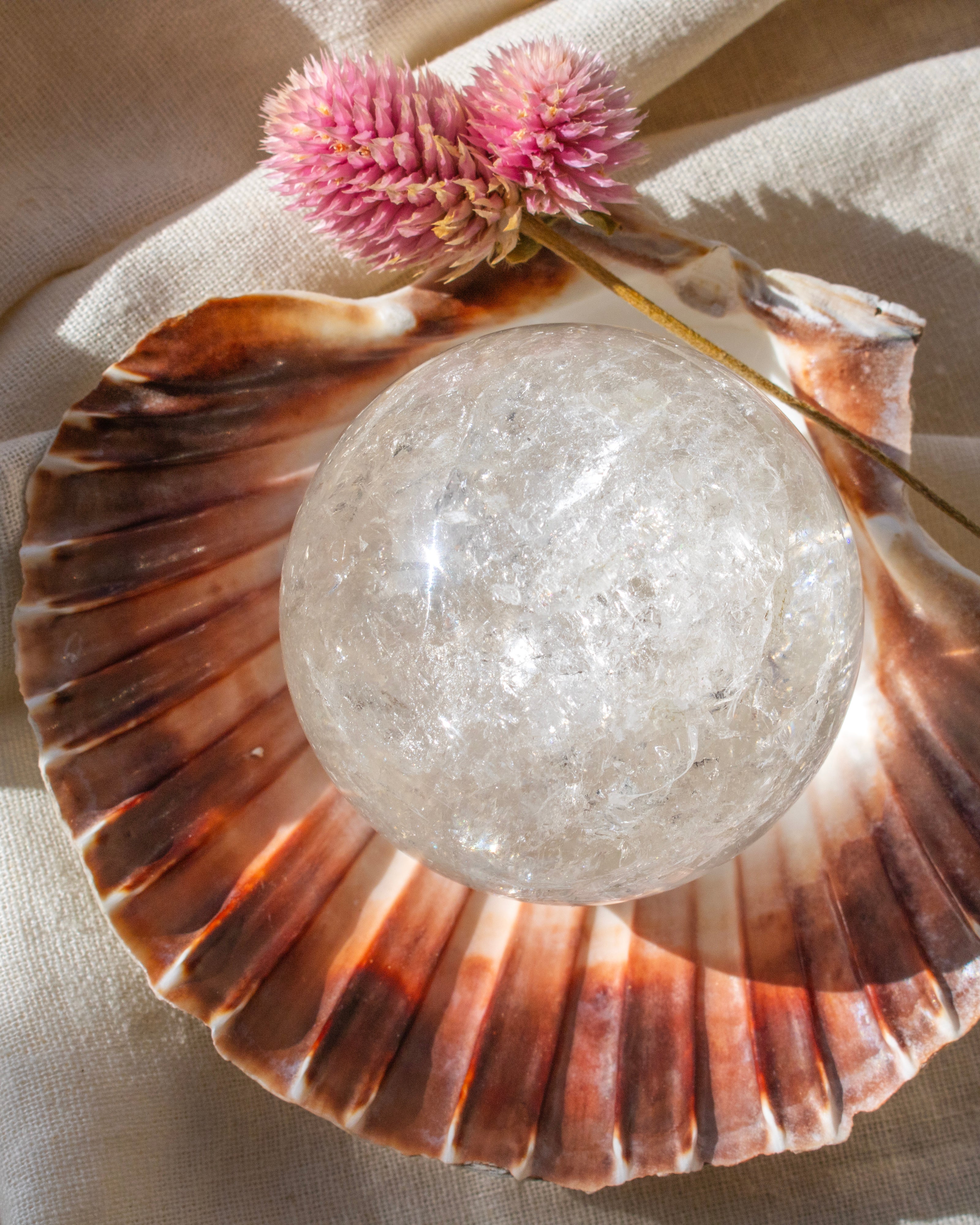 Crystal ball inside a seashell with pink flowers on a beige fabric background