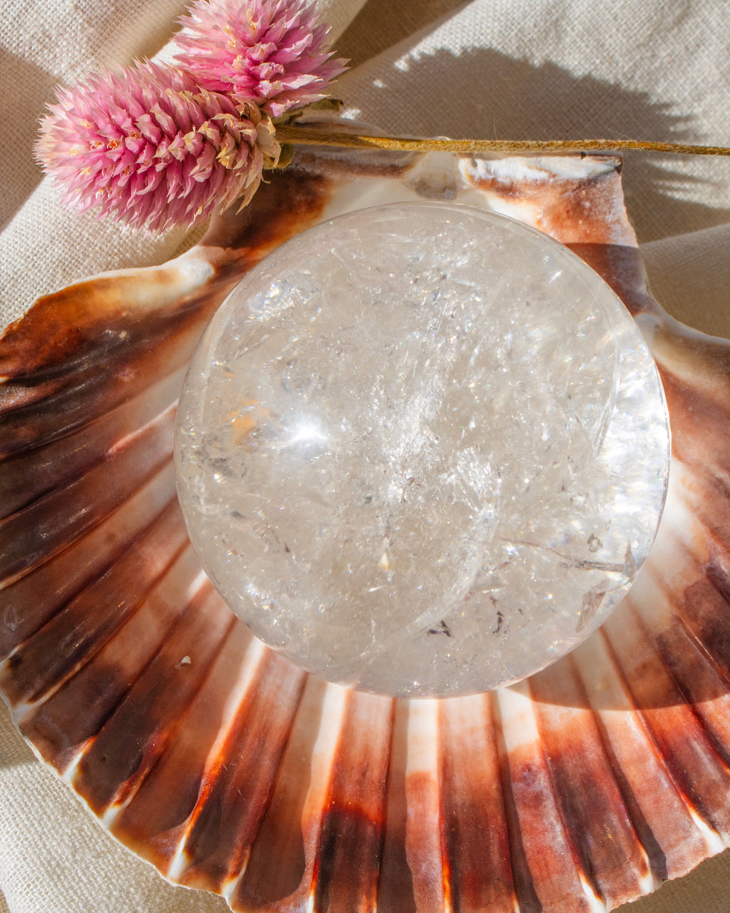 Clear crystal ball on a large shell with pink flowers in the background