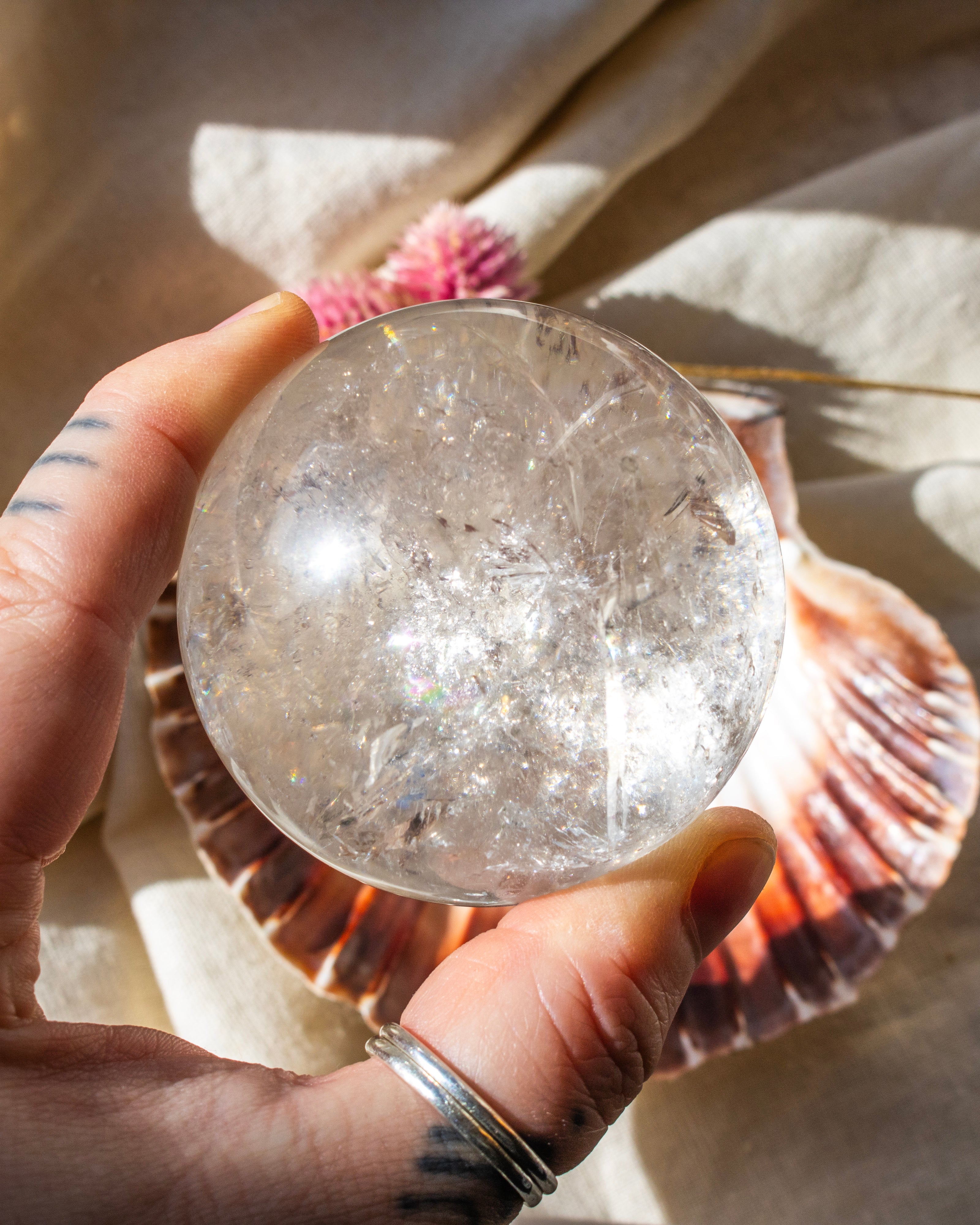 Hand holding a clear crystal ball with a shell in the background