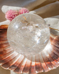 Clear crystal ball on a large shell with a pink flower in the background