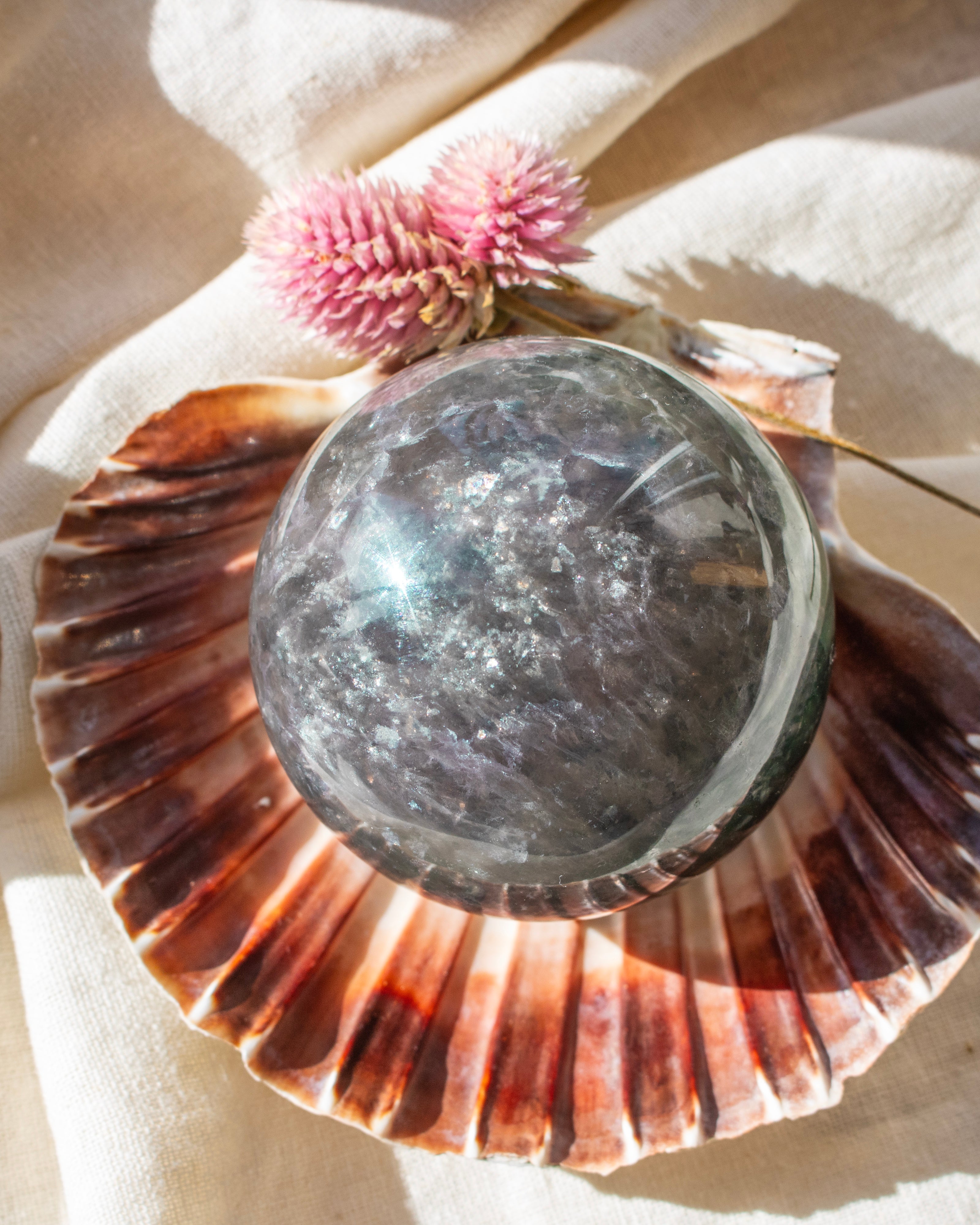 Shell with a crystal ball and pink flower on a light background