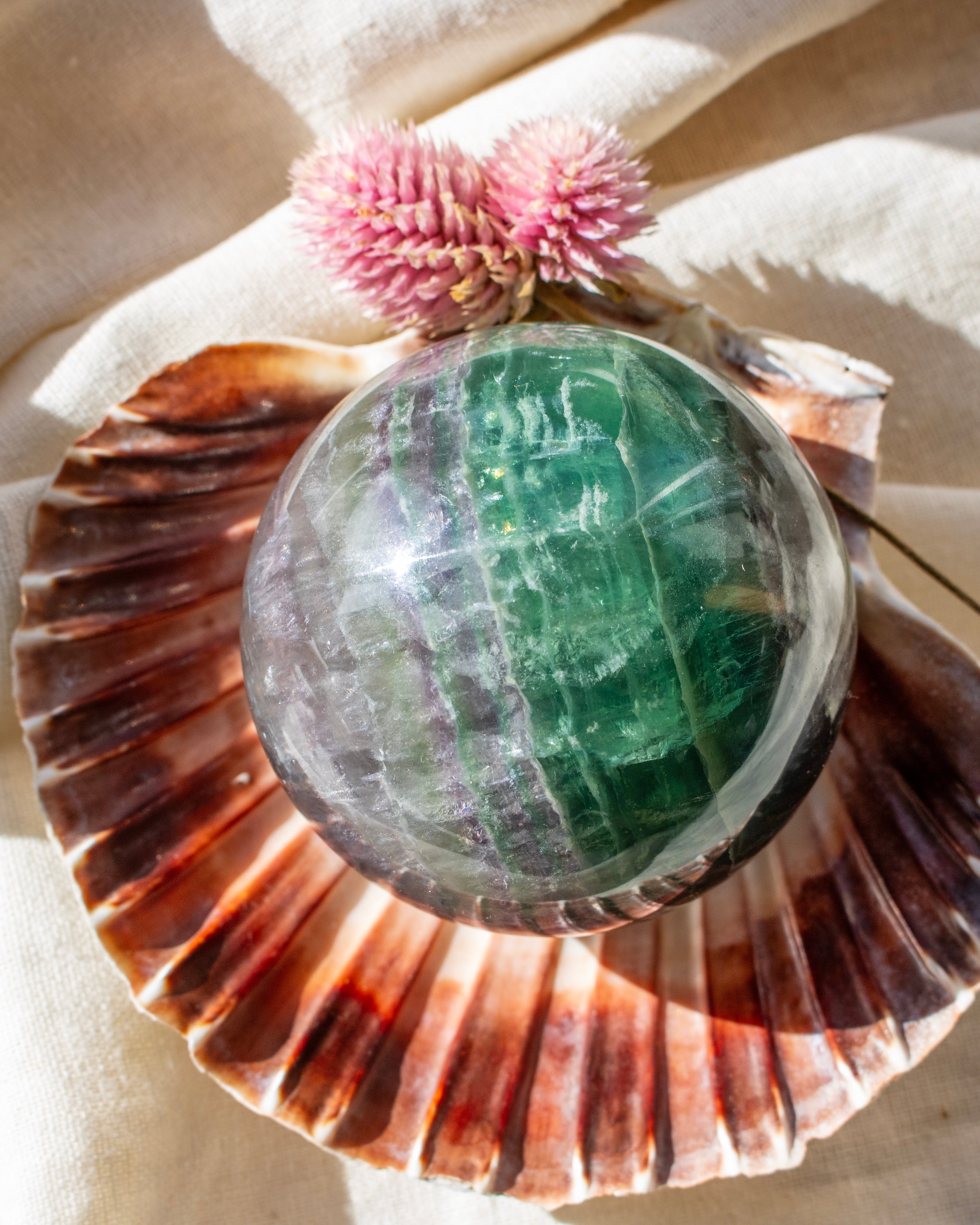 Crystal ball with green and purple hues inside a shell, with a pink flower on top.