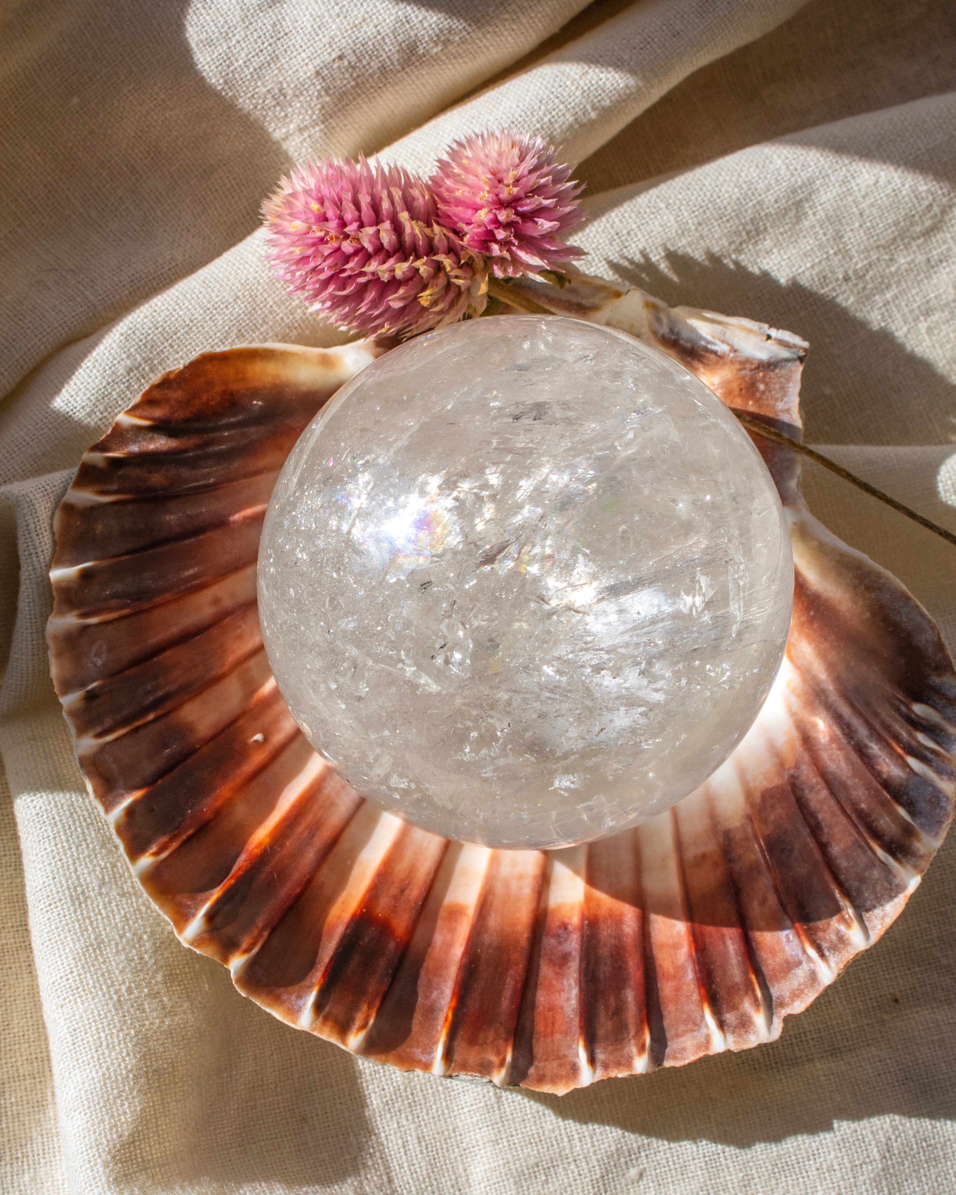 Seashell with a crystal ball and pink flower on a beige fabric background