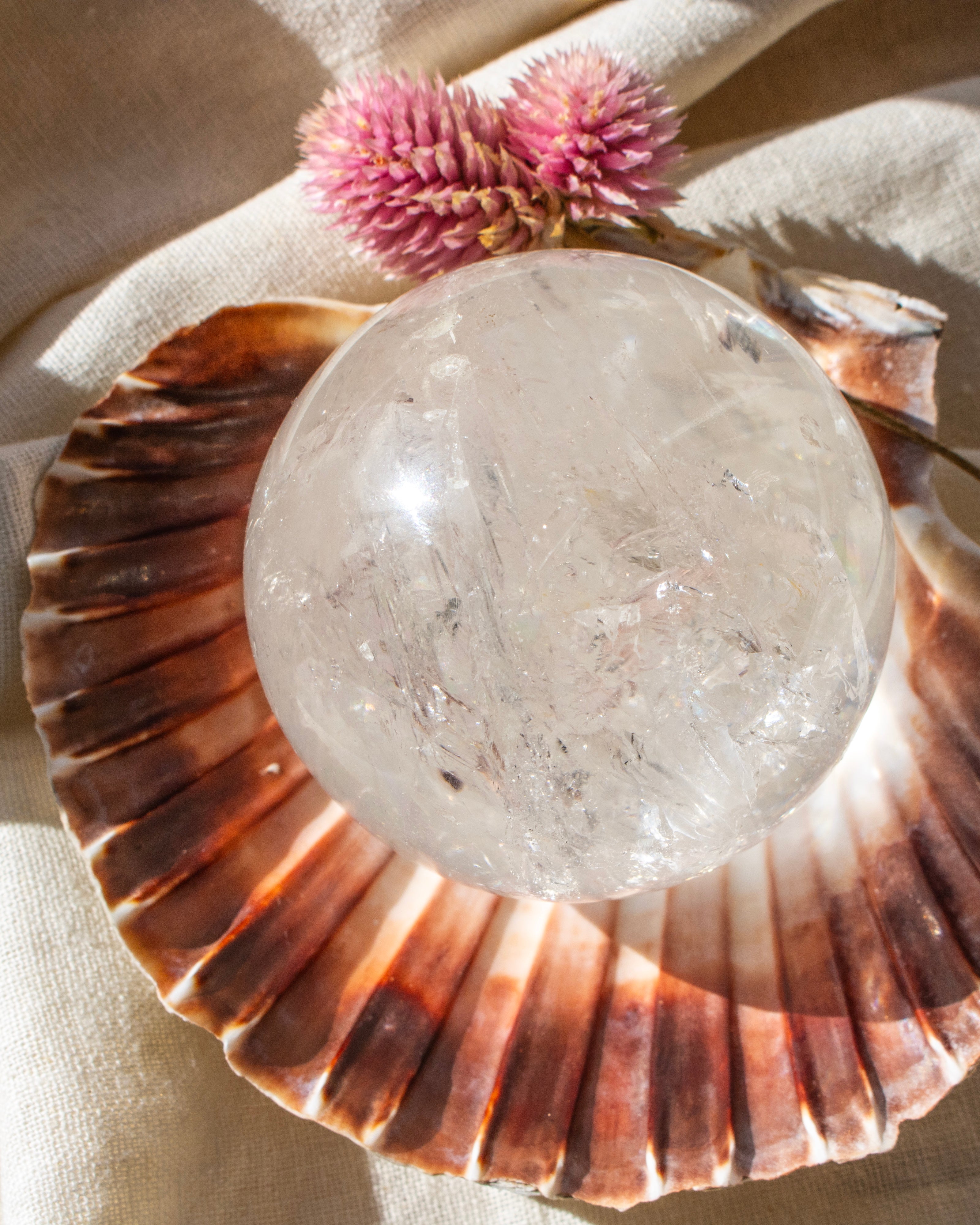 Crystal ball on a large shell with a pink flower on a beige background