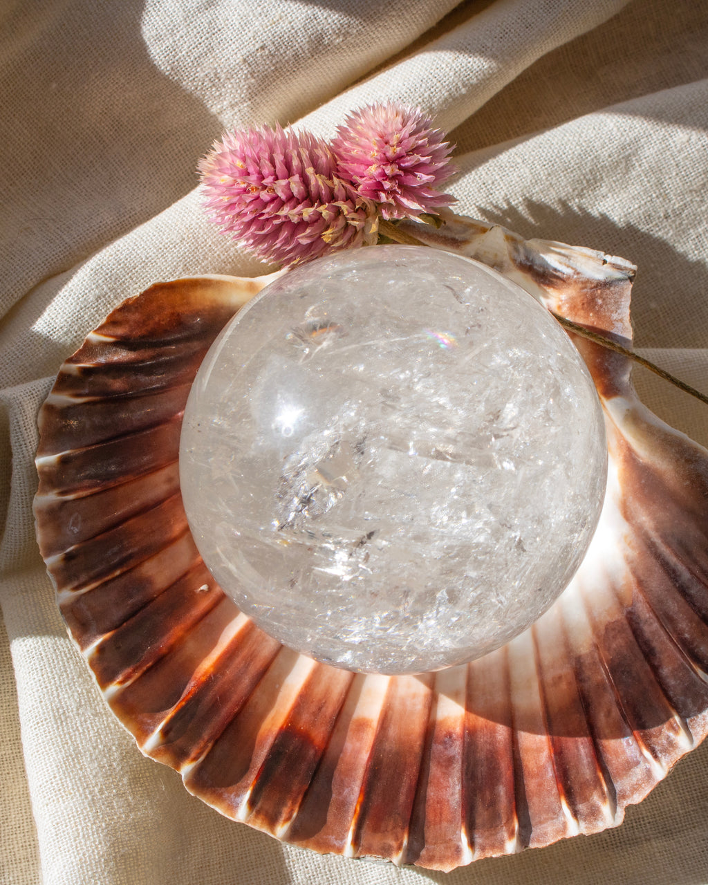 Crystal ball on a large shell with a pink flower on a beige fabric background