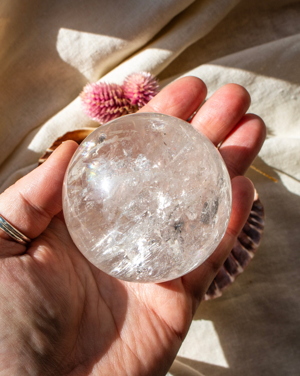 Hand holding a clear crystal ball with a soft, blurred background