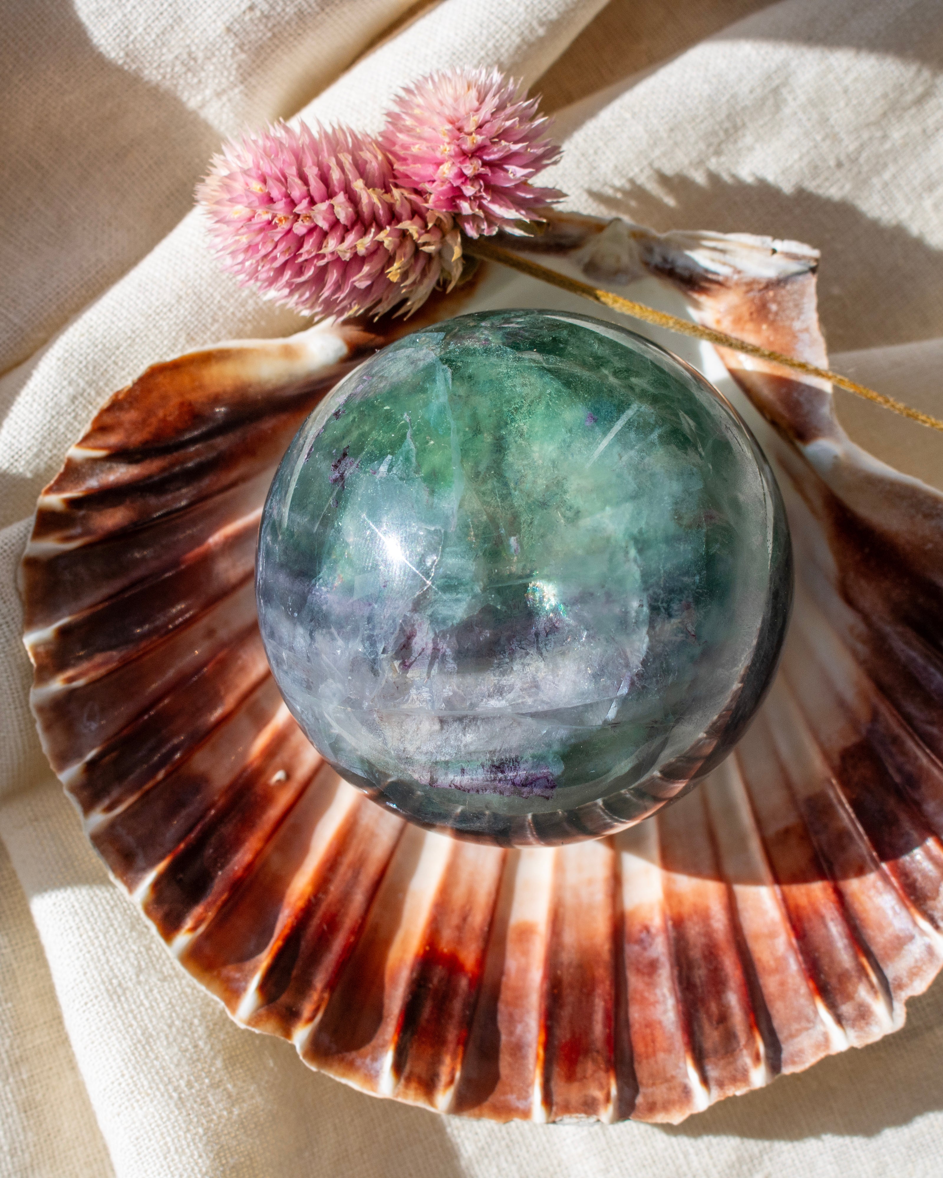 Crystal ball on a large shell with a pink flower on a beige background