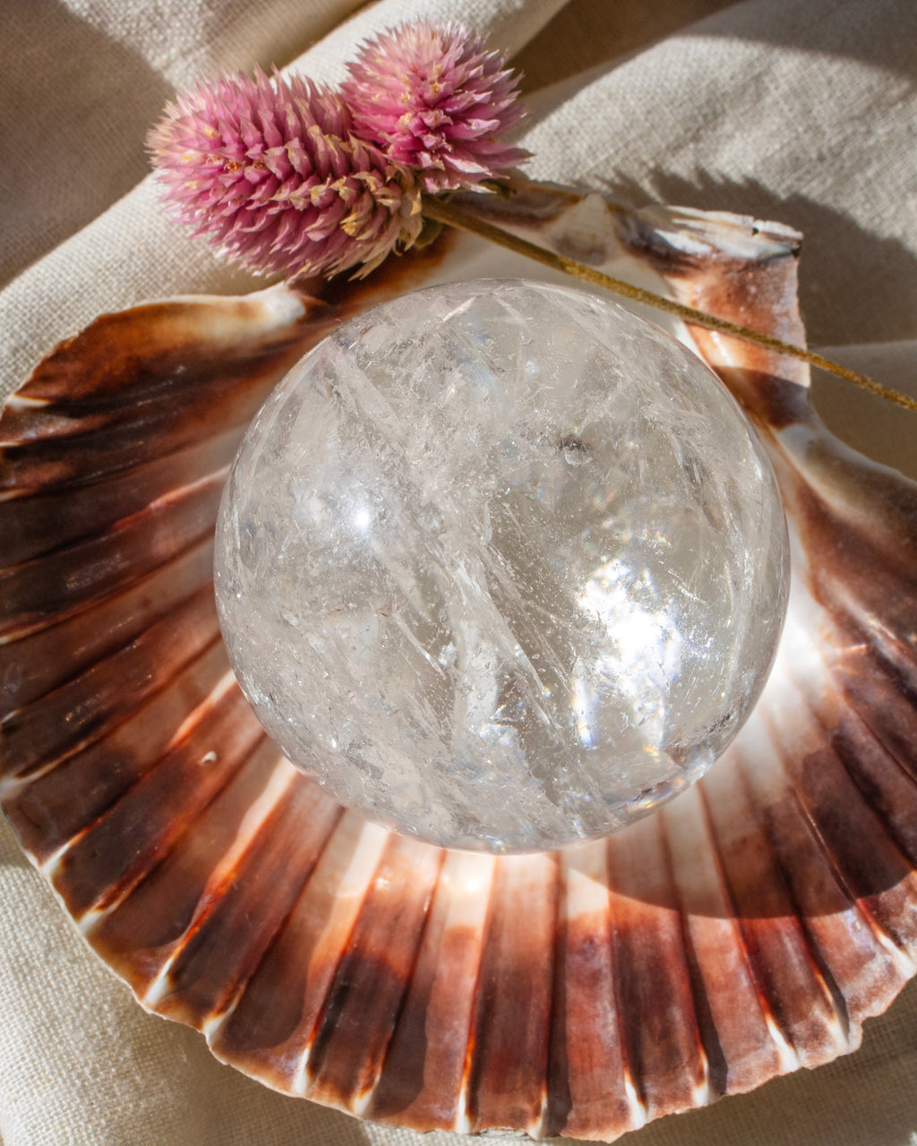 Clear crystal ball on a large shell with pink flowers