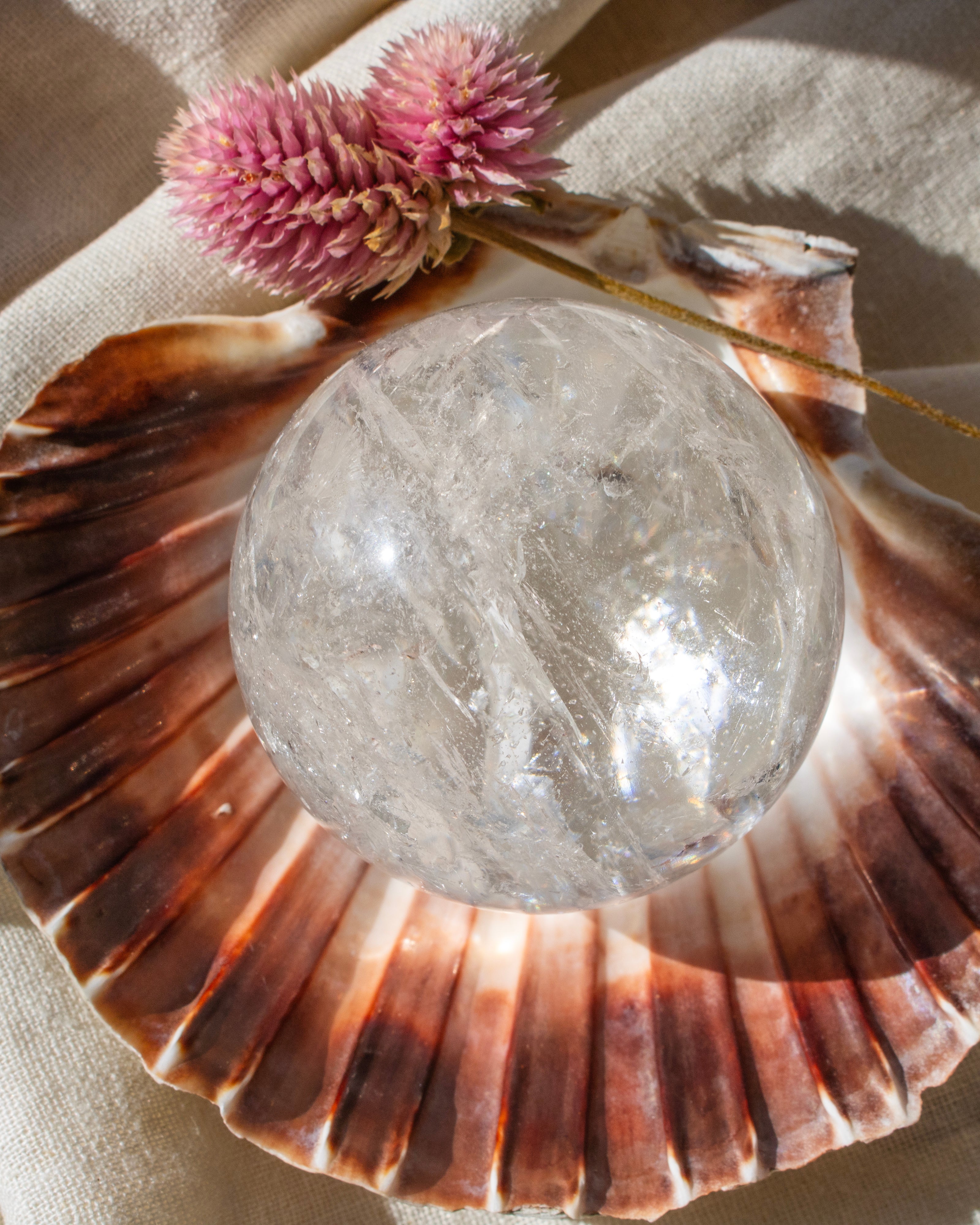 Clear crystal ball on a large shell with pink flowers