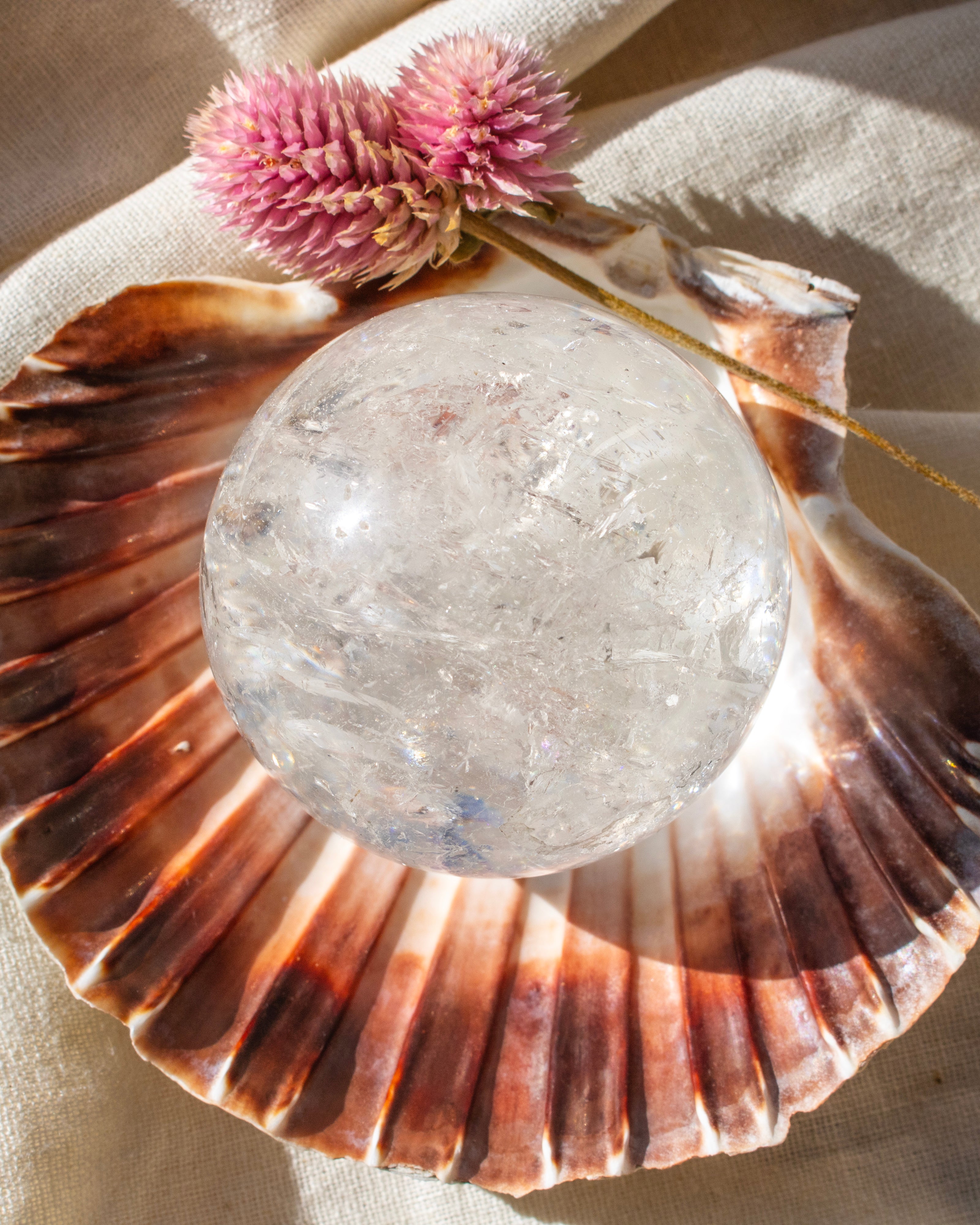 Crystal ball on a seashell with pink flowers and a beige background