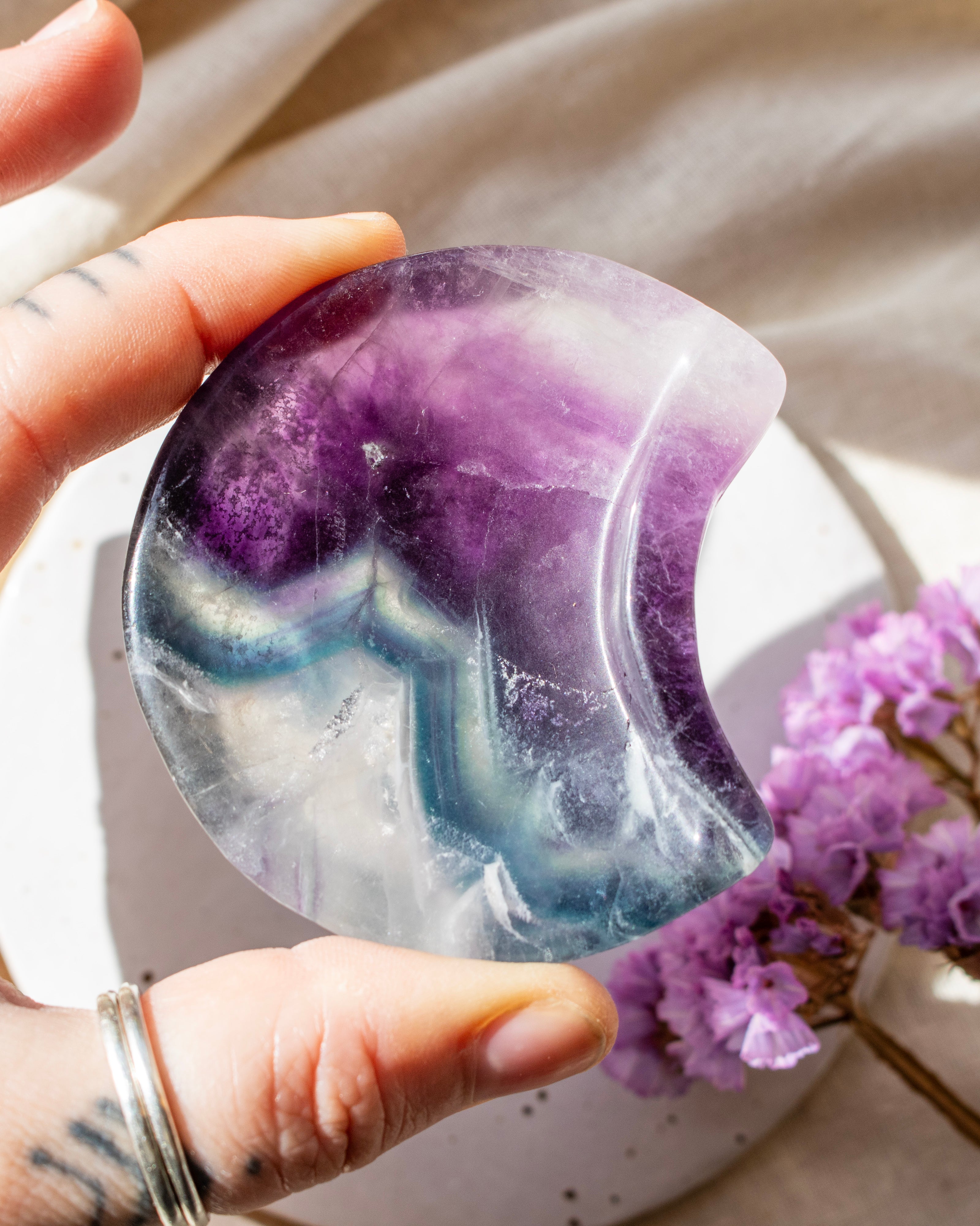 Hand holding a semi-precious stone with a purple and white color pattern, next to a small plant with purple flowers.