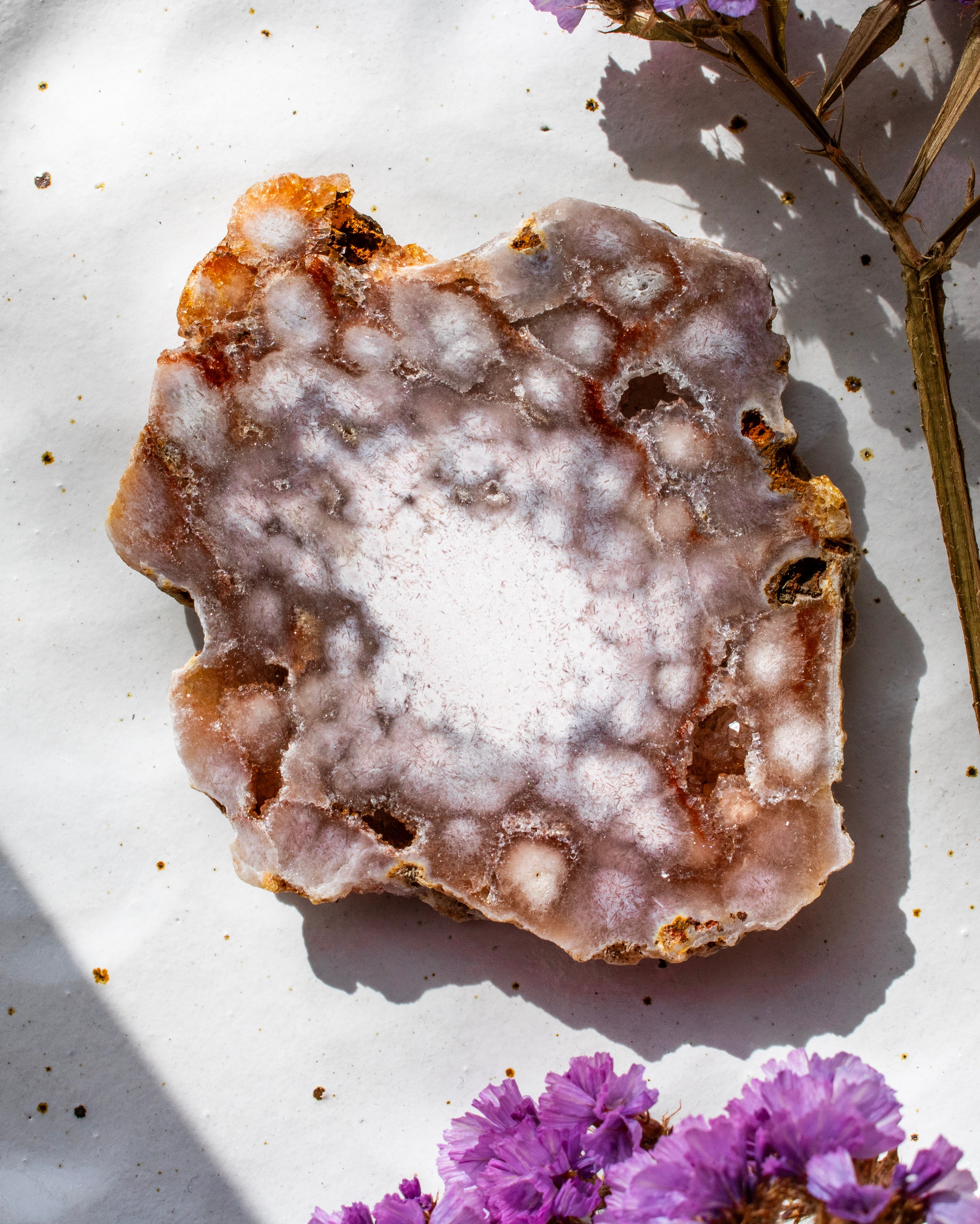 Close-up of a textured rock with purple flowers on a light background