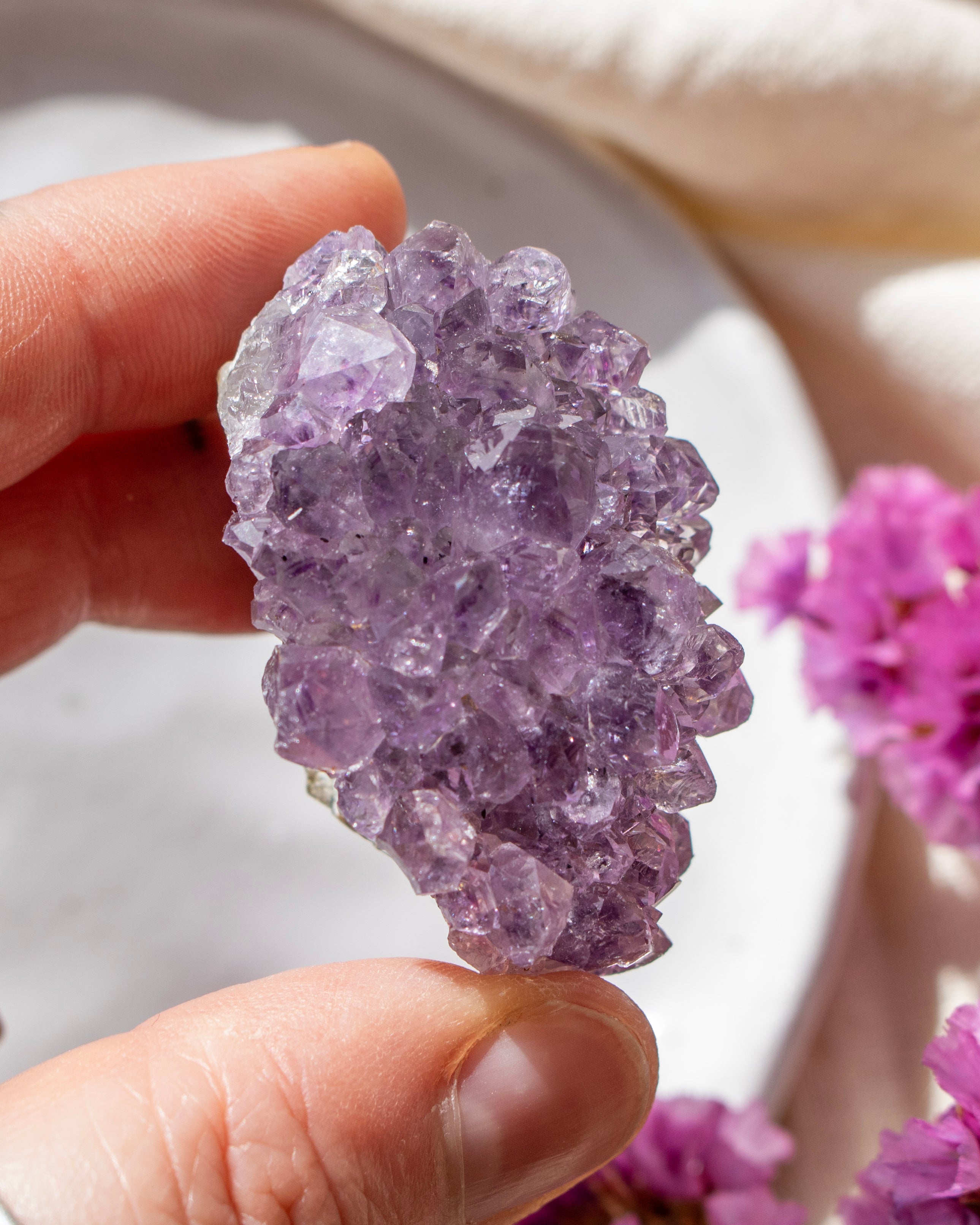 Hand holding a purple crystal with pink flowers in the background