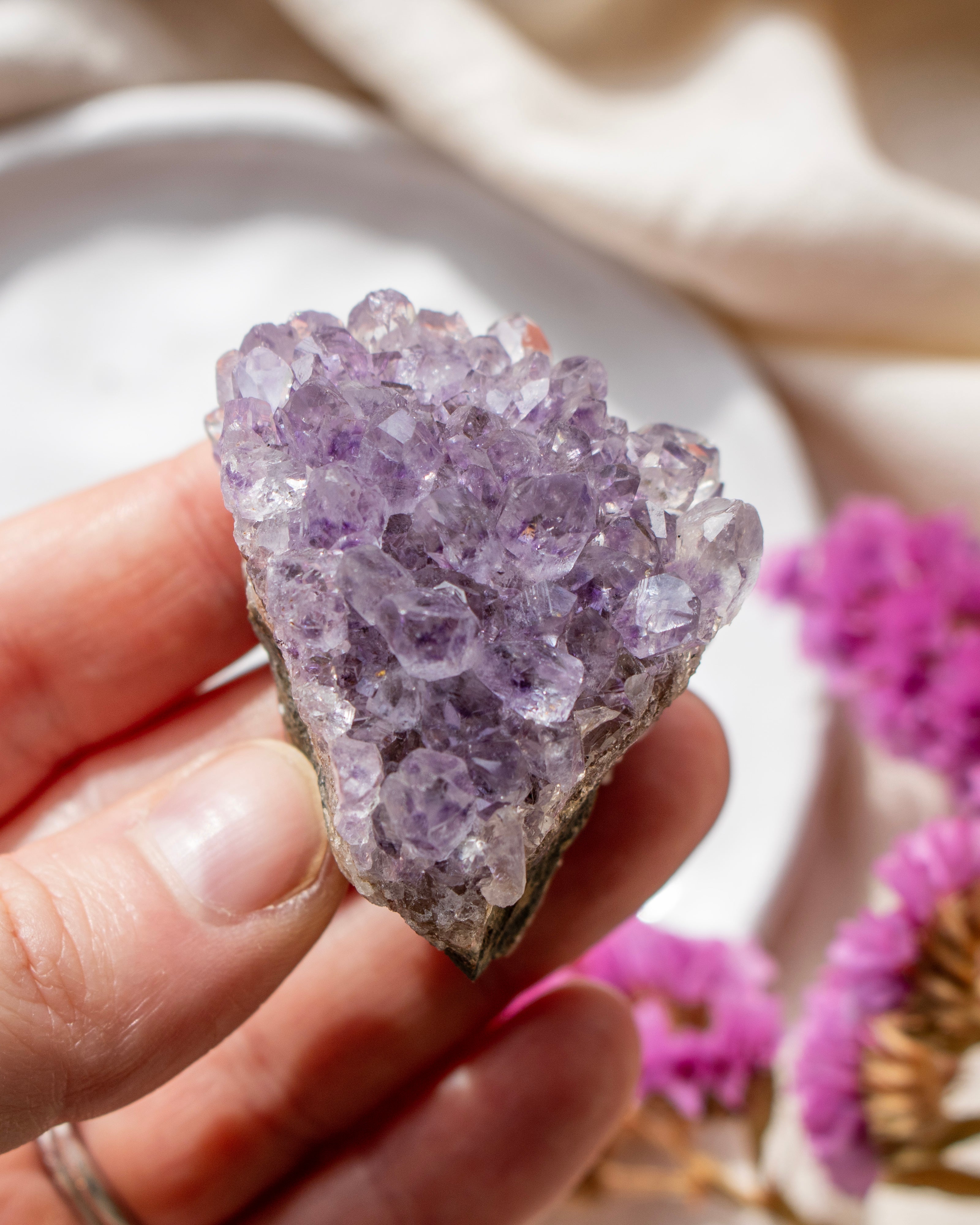 Hand holding a large amethyst crystal with blurred pink flowers in the background