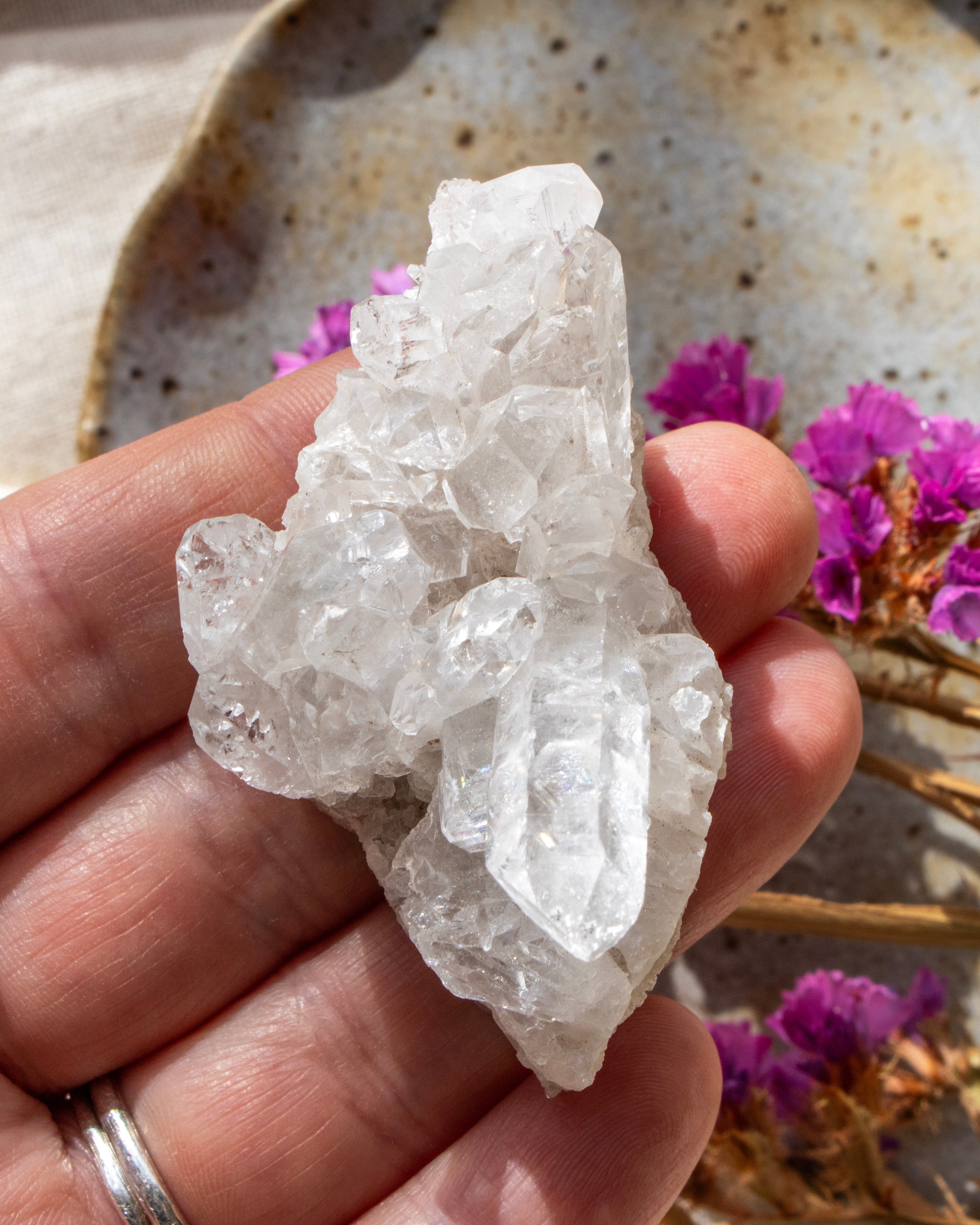 Hand holding a clear crystal rock with purple flowers in the background