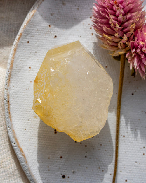 a yellow quartz crystal on a ceramic dish with a pink flower