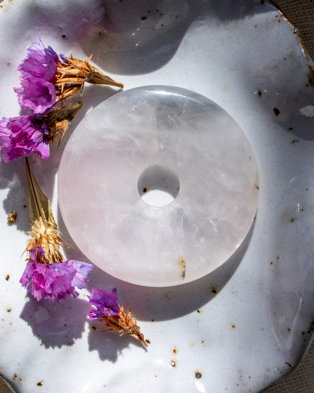Clear stone disc on a textured surface with purple flowers and dried leaves.