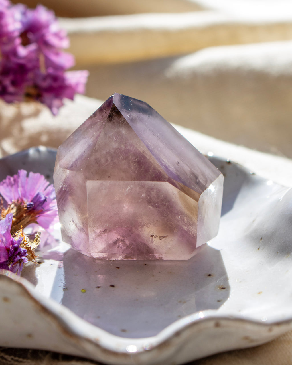 Crystal on a shell with purple flowers in the background