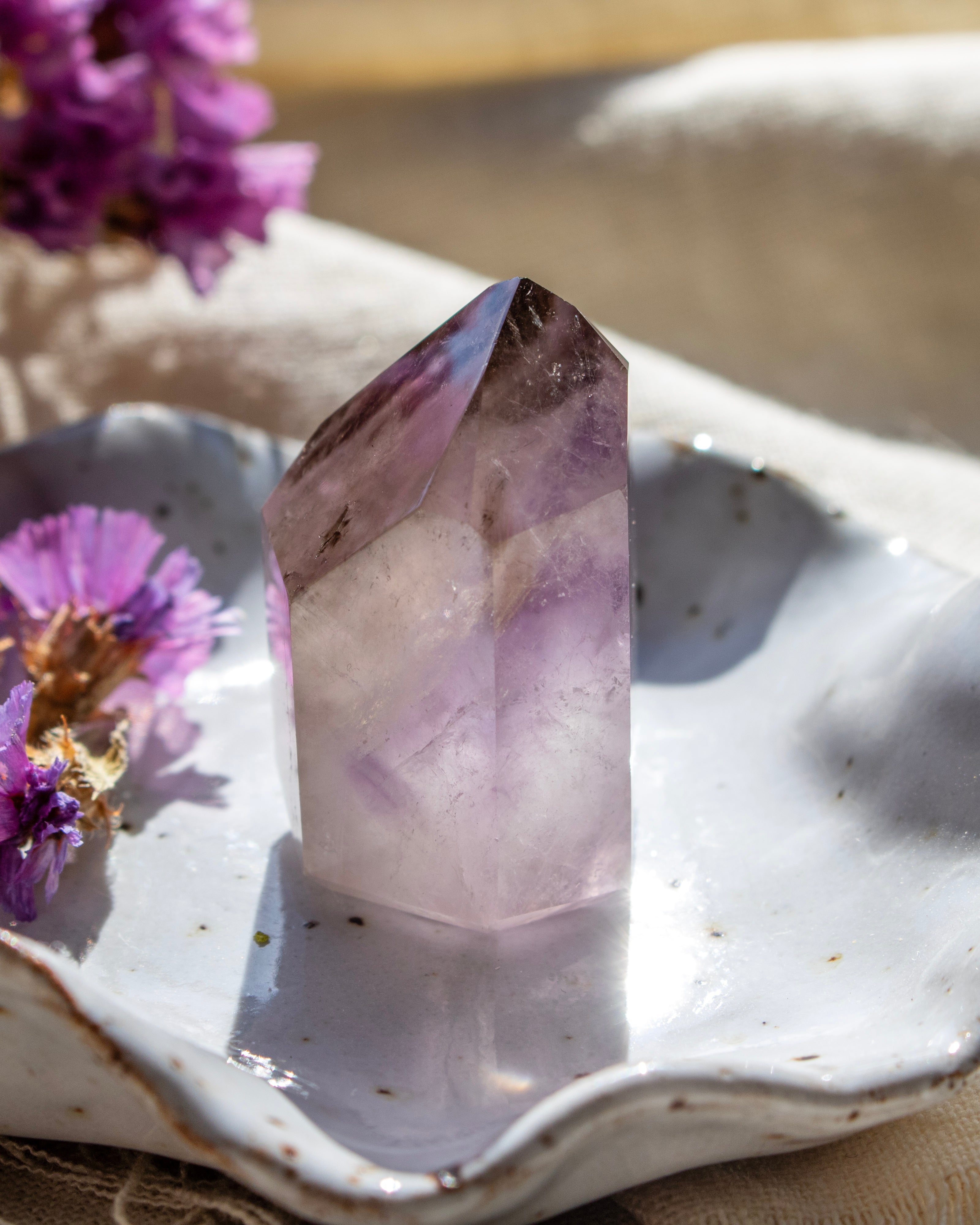 Amethyst crystal on a white shell with purple flowers in the background