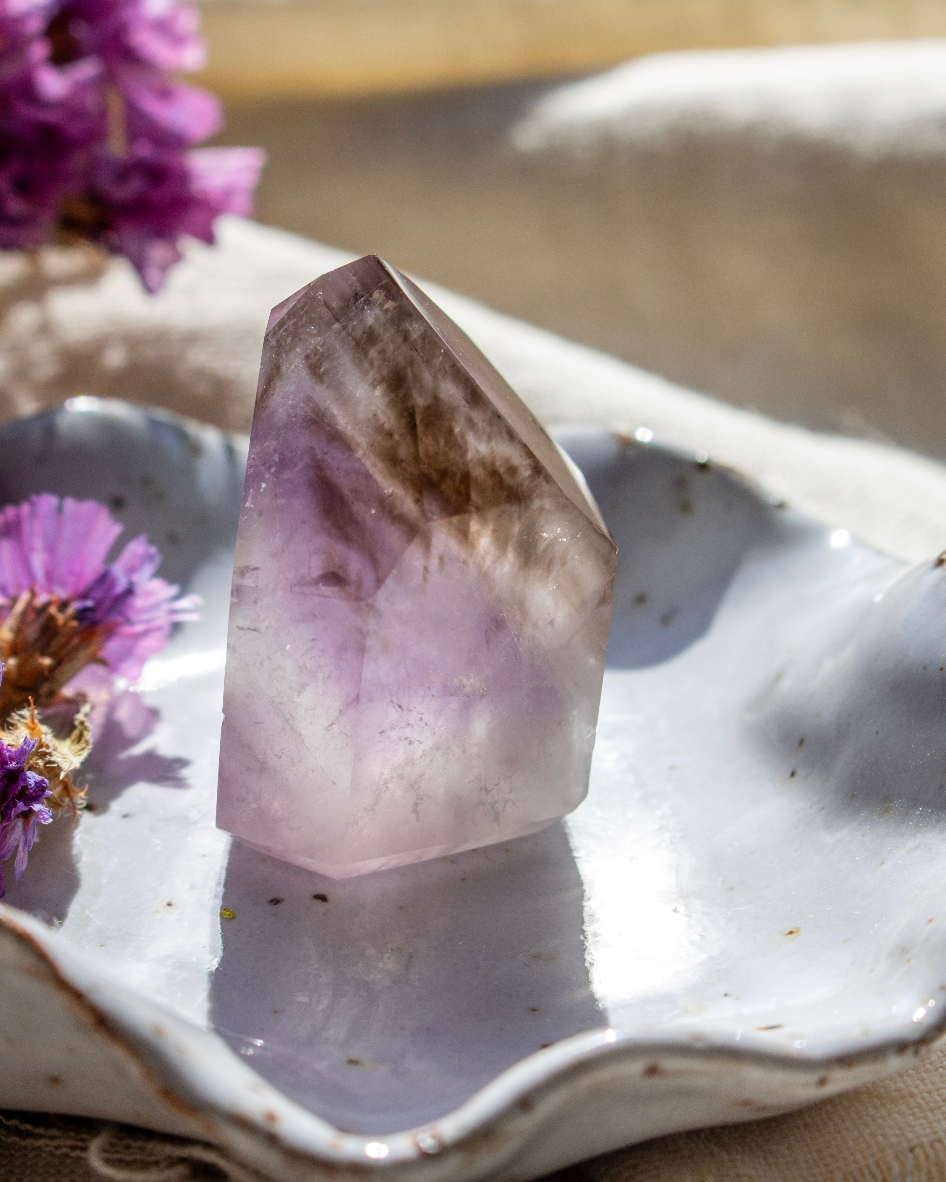 Amethyst crystal on a shell with purple flowers in the background