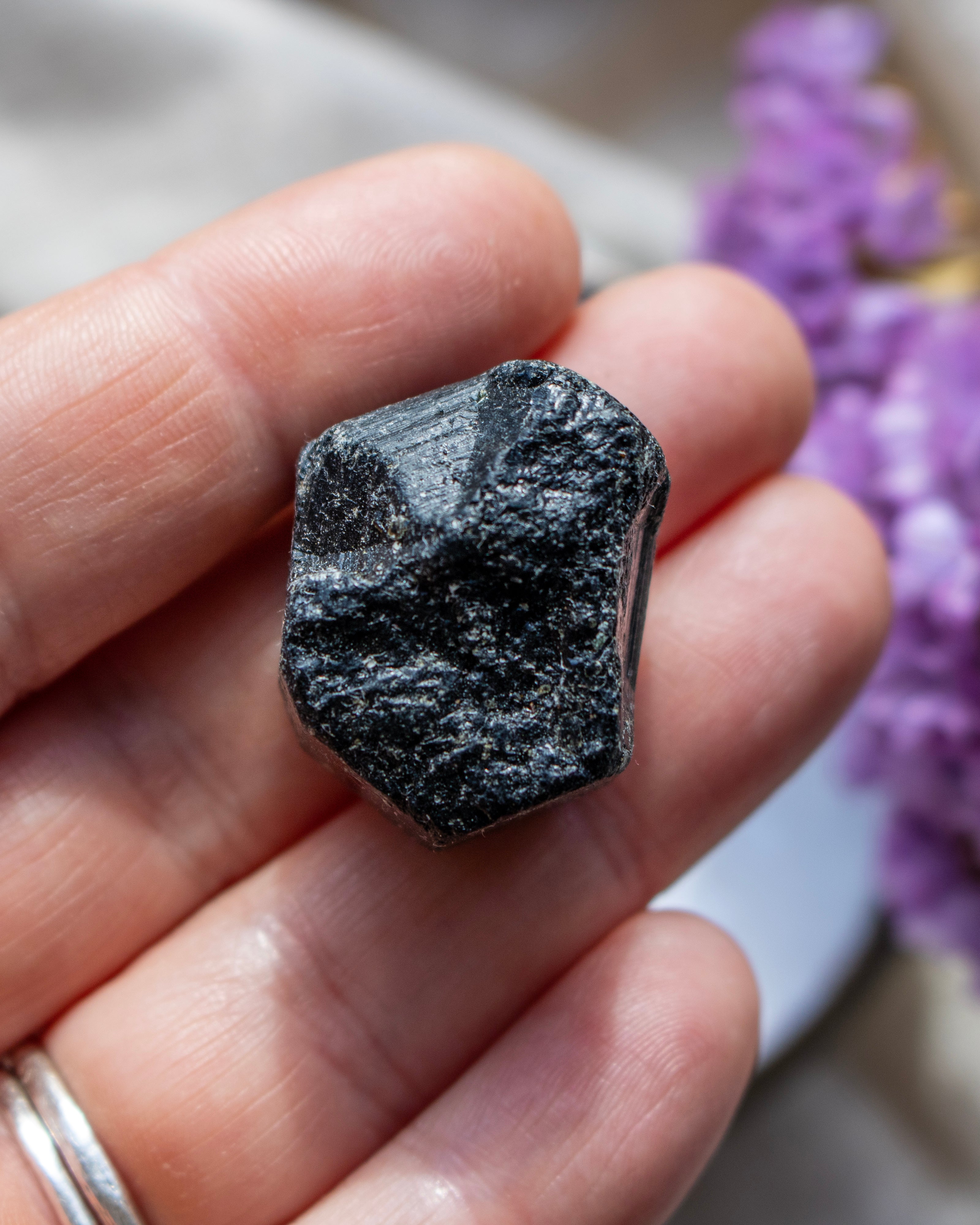 Hand holding a dark gray mineral crystal with blurred purple flowers in the background