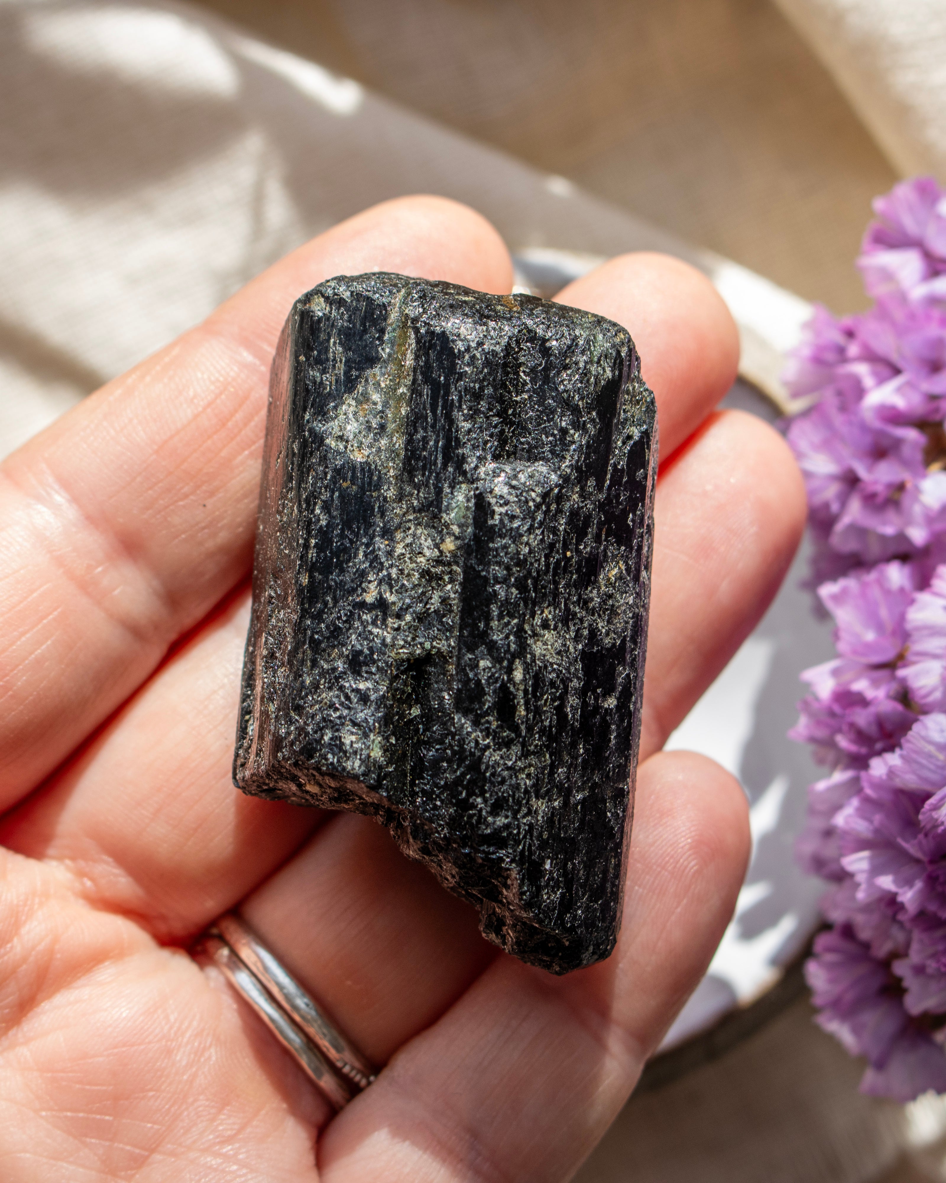 Hand holding a rough black stone with purple flowers in the background